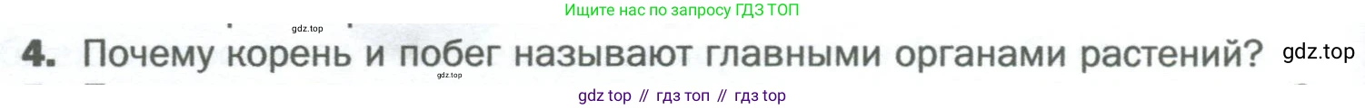 Биология, 6 класс Учебник, авторы: Пономарева Ирма Николаевна, Корнилова Ольга Анатольевна, издательство Просвещение, Москва, 2023, бирюзового цвета, страница 32, номер 4, Условие
