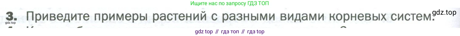 Биология, 6 класс Учебник, авторы: Пономарева Ирма Николаевна, Корнилова Ольга Анатольевна, издательство Просвещение, Москва, 2023, бирюзового цвета, страница 58, номер 3, Условие
