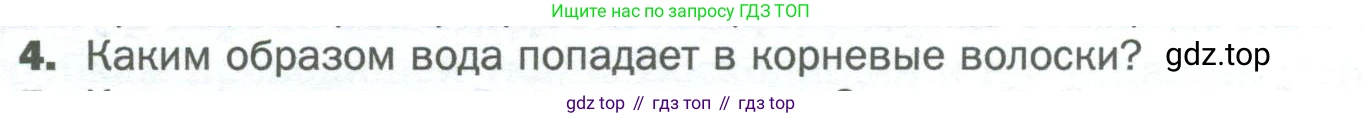 Биология, 6 класс Учебник, авторы: Пономарева Ирма Николаевна, Корнилова Ольга Анатольевна, издательство Просвещение, Москва, 2023, бирюзового цвета, страница 58, номер 4, Условие