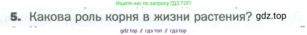 Биология, 6 класс Учебник, авторы: Пономарева Ирма Николаевна, Корнилова Ольга Анатольевна, издательство Просвещение, Москва, 2023, бирюзового цвета, страница 58, номер 5, Условие