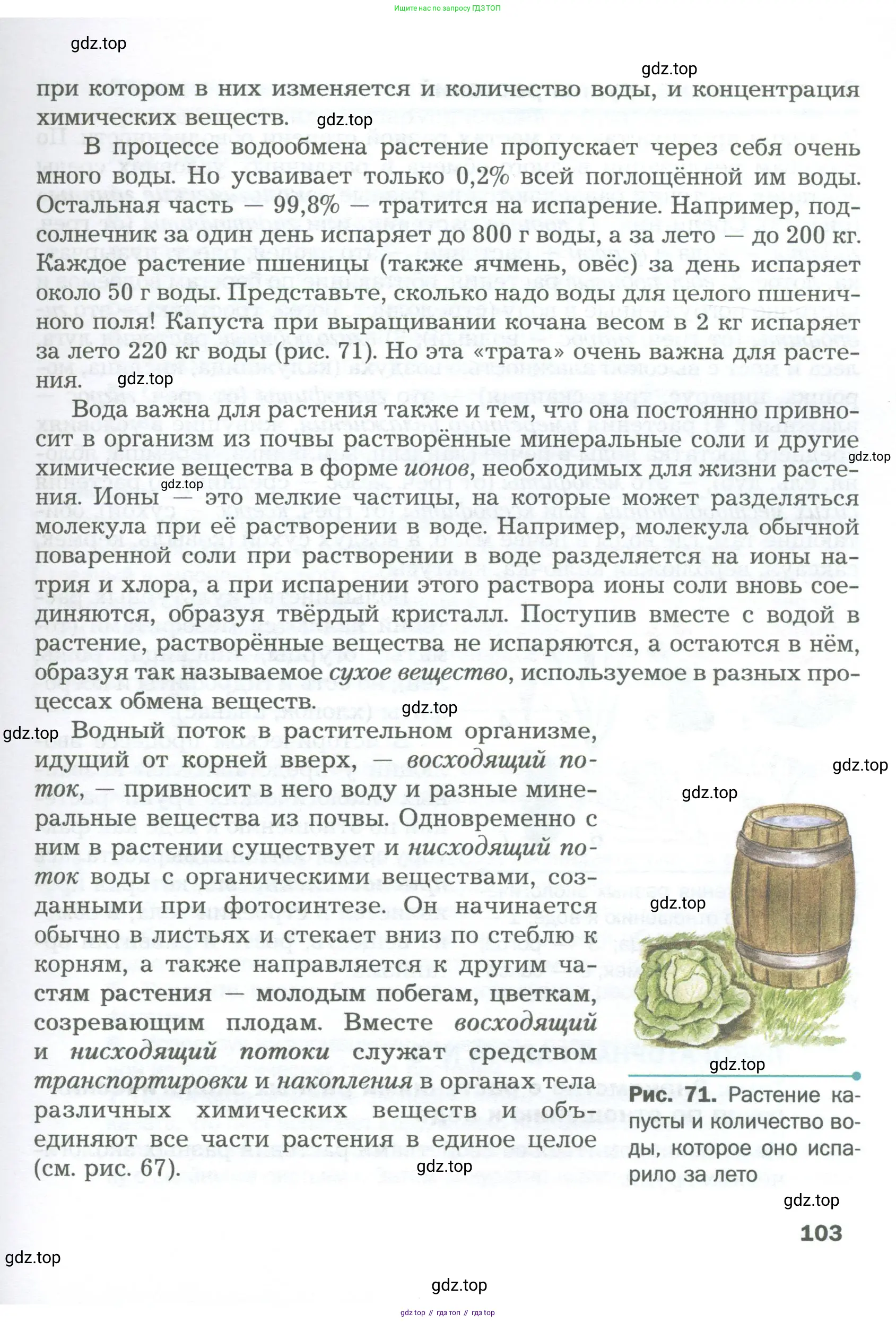 Биология, 6 класс Учебник, авторы: Пономарева Ирма Николаевна, Корнилова Ольга Анатольевна, издательство Просвещение, Москва, 2023, бирюзового цвета, страница 103