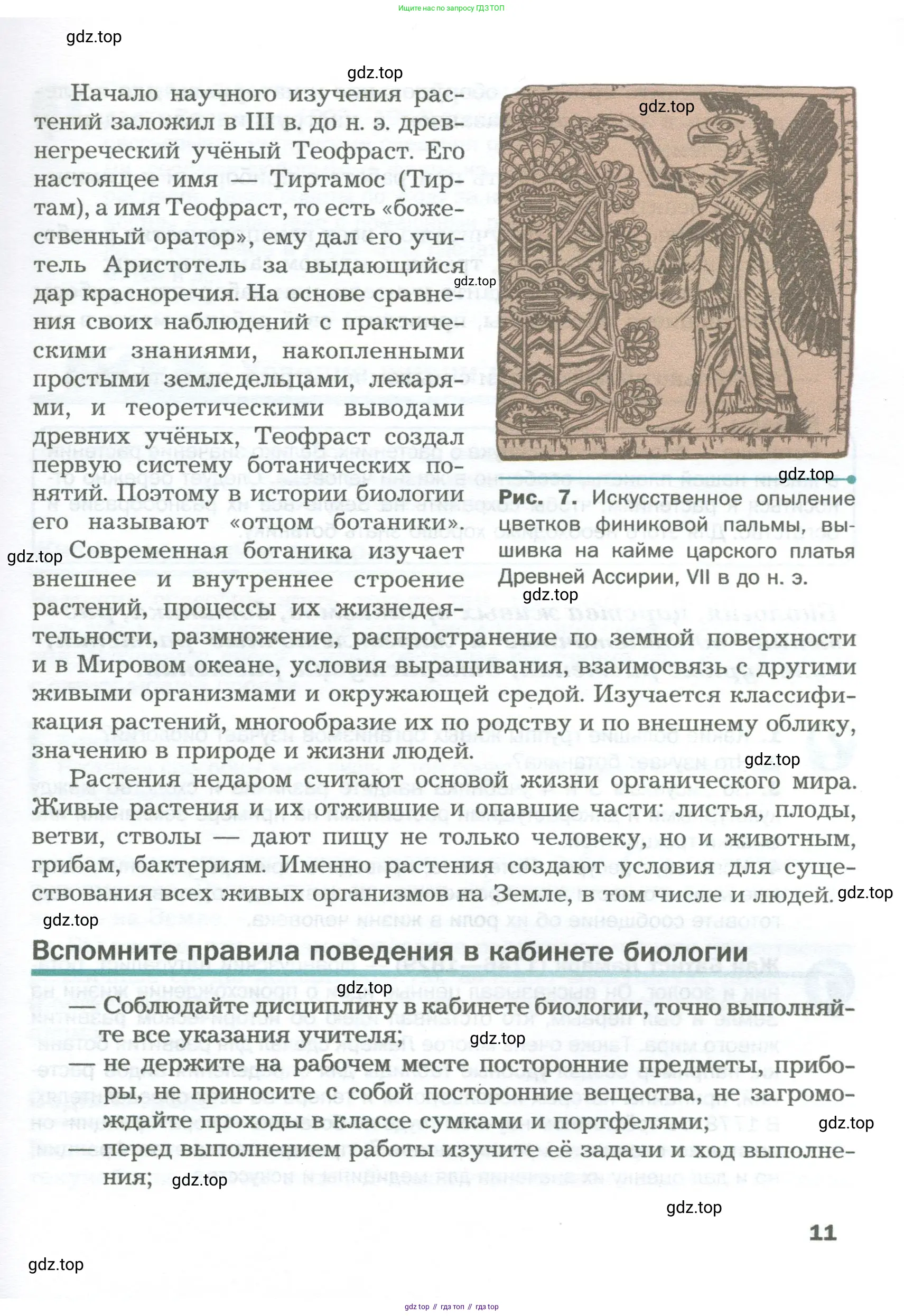 Биология, 6 класс Учебник, авторы: Пономарева Ирма Николаевна, Корнилова Ольга Анатольевна, издательство Просвещение, Москва, 2023, бирюзового цвета, страница 11