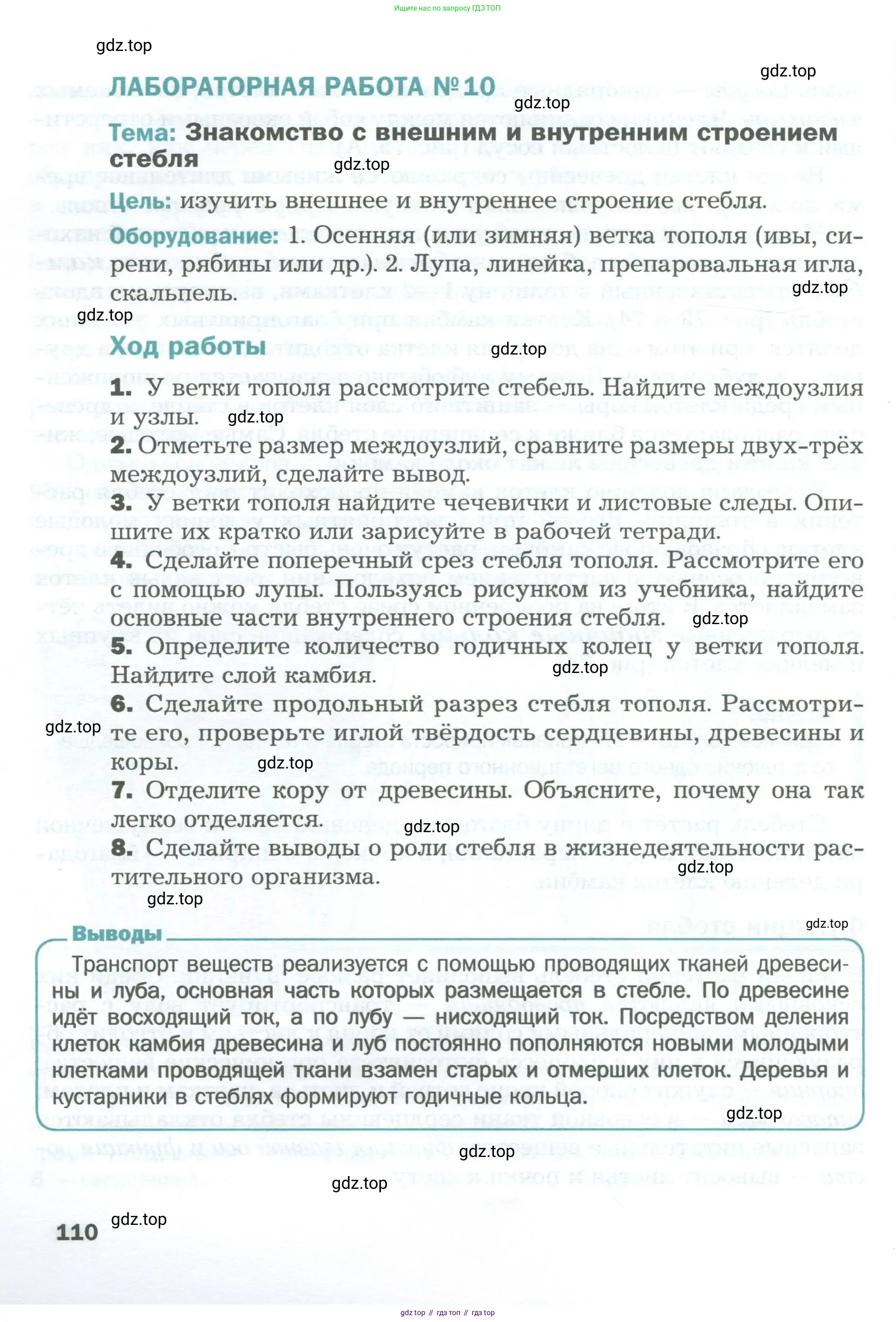 Биология, 6 класс Учебник, авторы: Пономарева Ирма Николаевна, Корнилова Ольга Анатольевна, издательство Просвещение, Москва, 2023, бирюзового цвета, страница 110