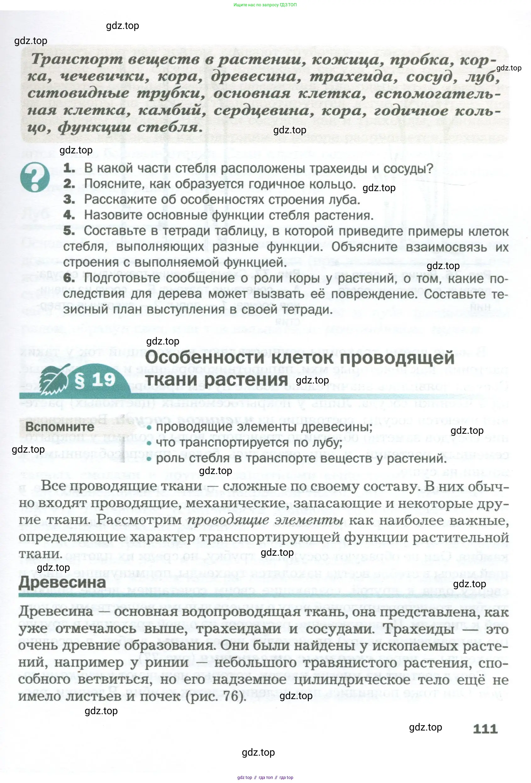 Биология, 6 класс Учебник, авторы: Пономарева Ирма Николаевна, Корнилова Ольга Анатольевна, издательство Просвещение, Москва, 2023, бирюзового цвета, страница 111