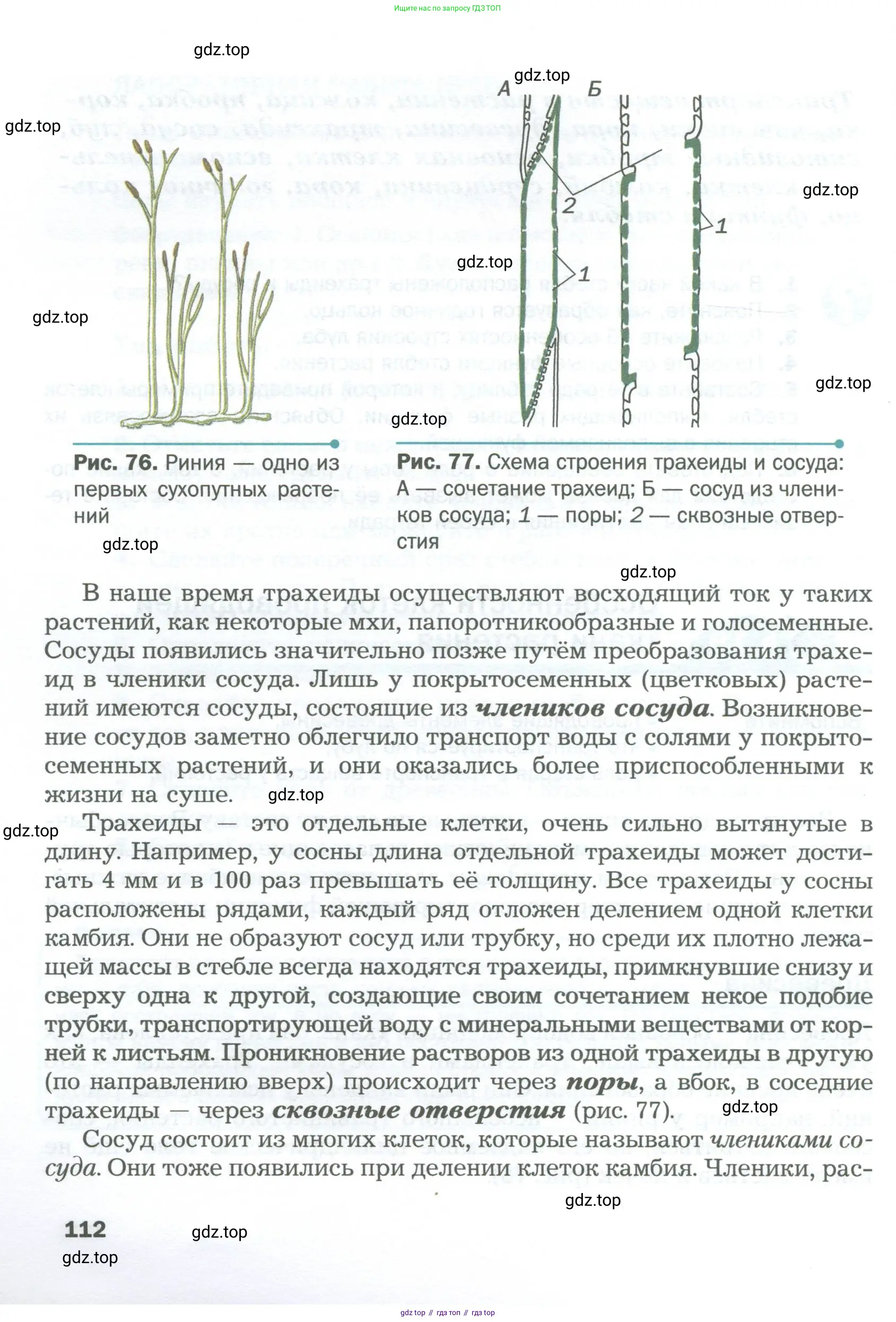 Биология, 6 класс Учебник, авторы: Пономарева Ирма Николаевна, Корнилова Ольга Анатольевна, издательство Просвещение, Москва, 2023, бирюзового цвета, страница 112