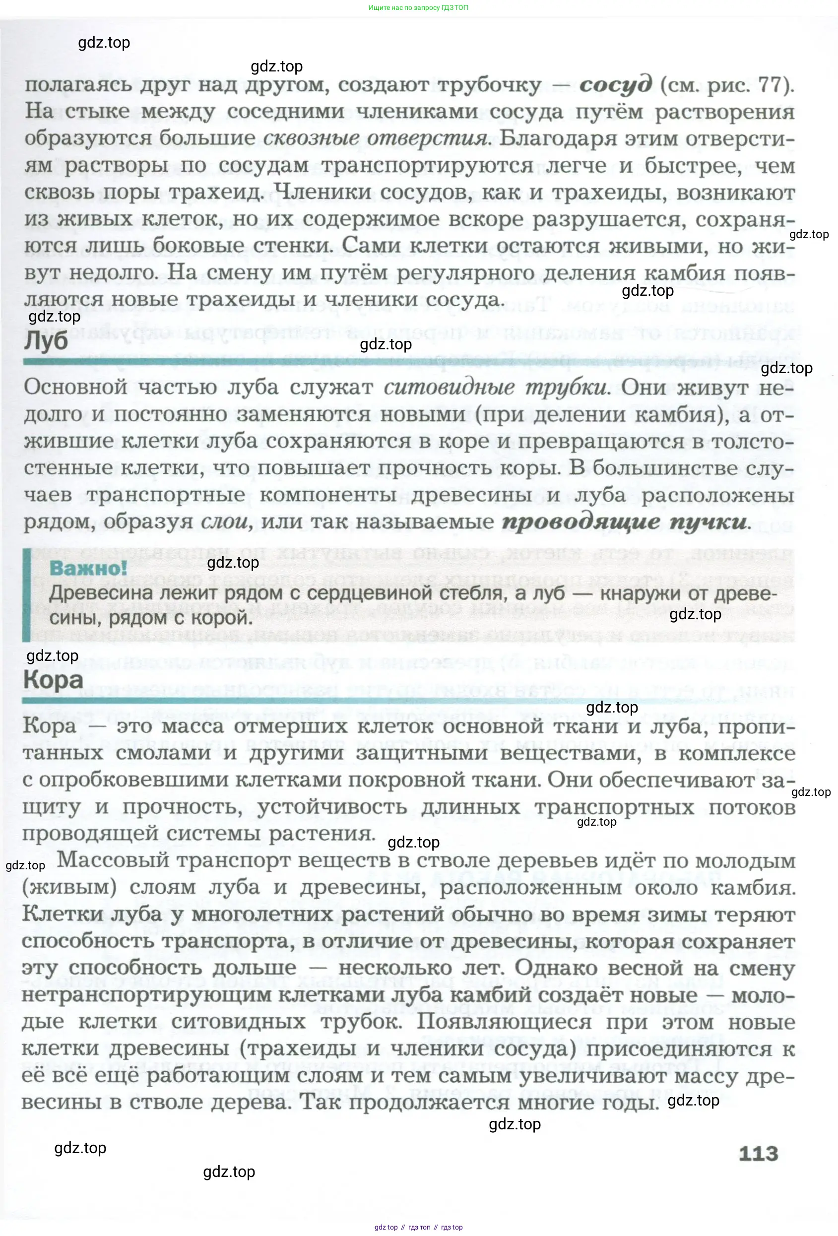 Биология, 6 класс Учебник, авторы: Пономарева Ирма Николаевна, Корнилова Ольга Анатольевна, издательство Просвещение, Москва, 2023, бирюзового цвета, страница 113