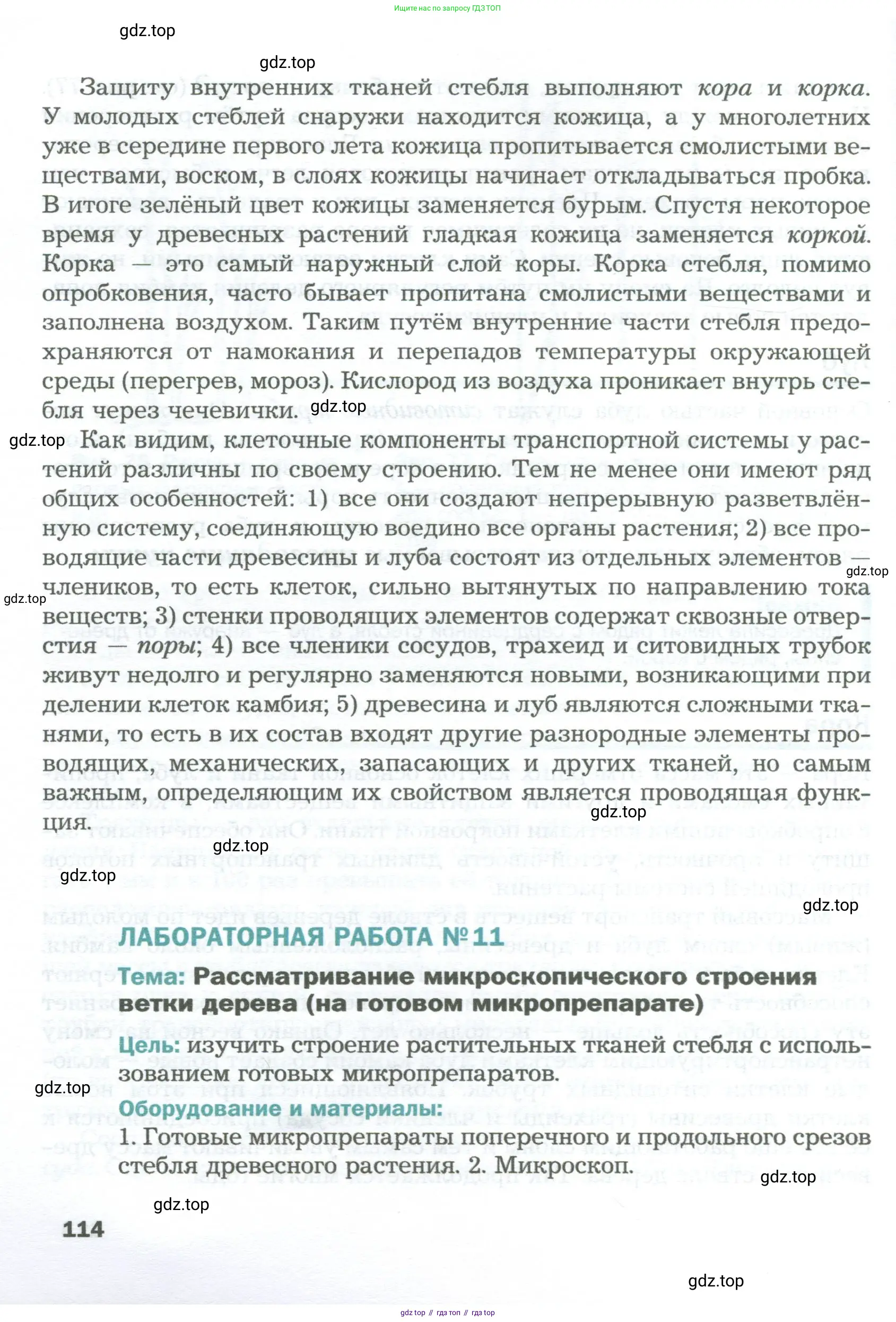 Биология, 6 класс Учебник, авторы: Пономарева Ирма Николаевна, Корнилова Ольга Анатольевна, издательство Просвещение, Москва, 2023, бирюзового цвета, страница 114