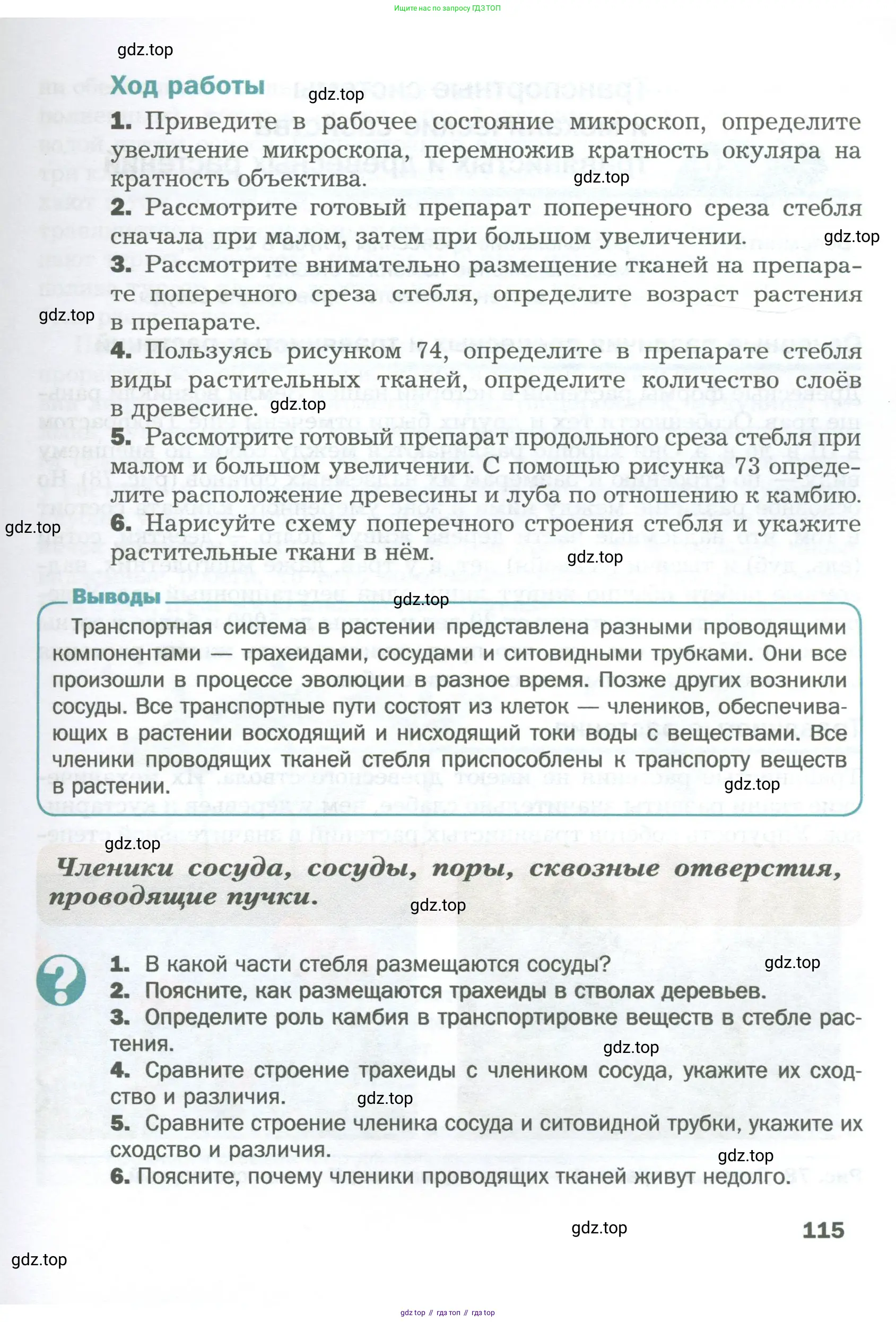 Биология, 6 класс Учебник, авторы: Пономарева Ирма Николаевна, Корнилова Ольга Анатольевна, издательство Просвещение, Москва, 2023, бирюзового цвета, страница 115