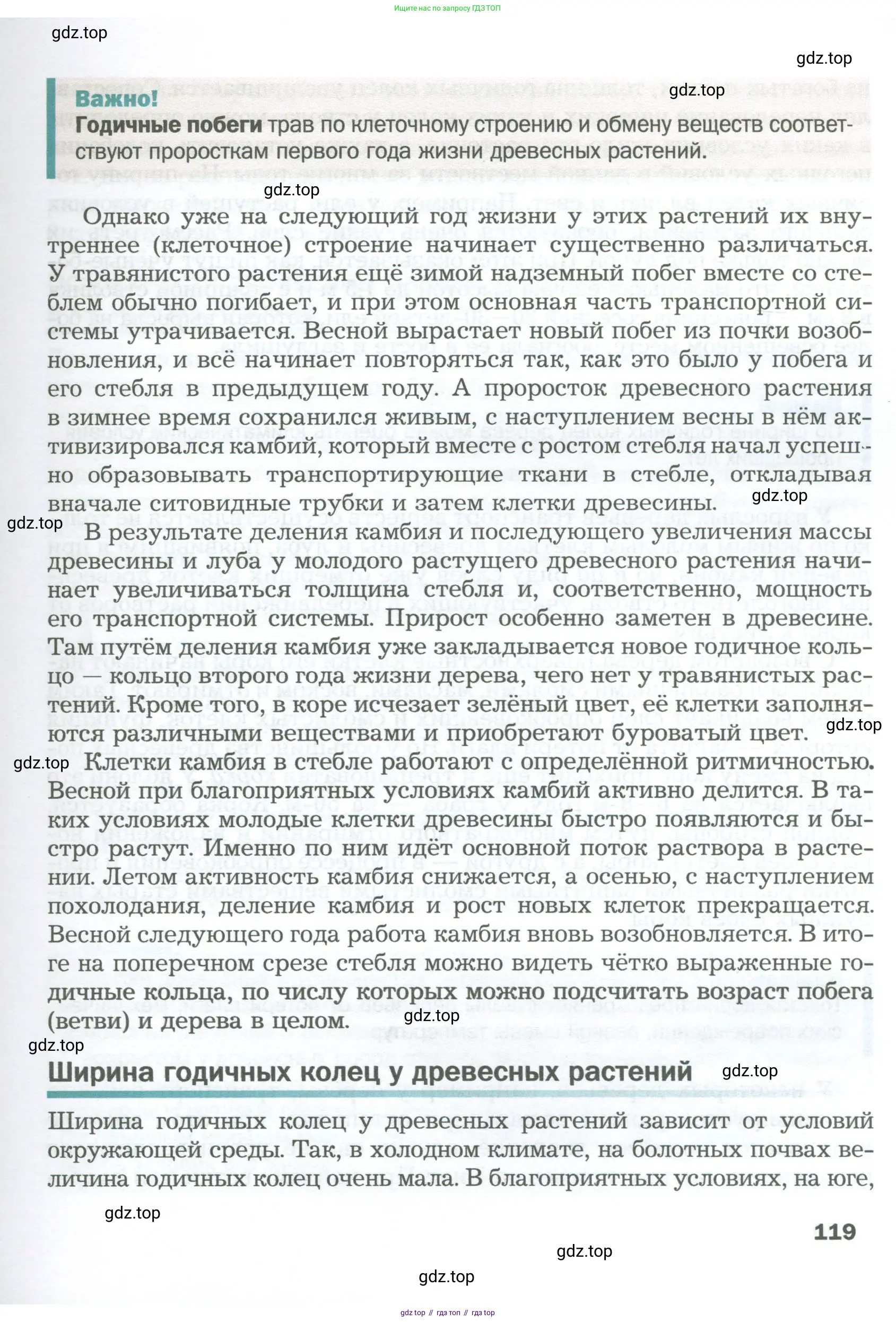 Биология, 6 класс Учебник, авторы: Пономарева Ирма Николаевна, Корнилова Ольга Анатольевна, издательство Просвещение, Москва, 2023, бирюзового цвета, страница 119