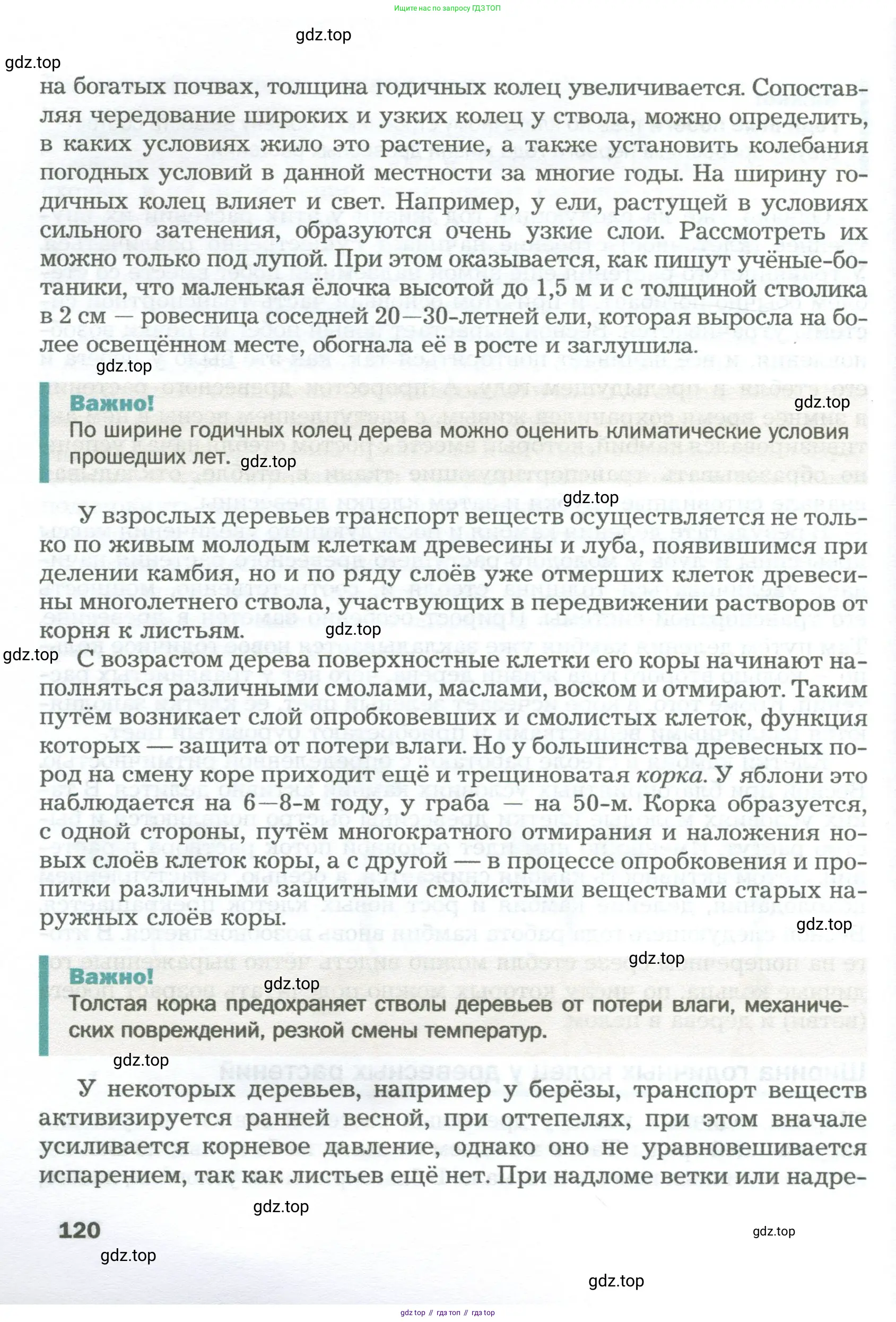 Биология, 6 класс Учебник, авторы: Пономарева Ирма Николаевна, Корнилова Ольга Анатольевна, издательство Просвещение, Москва, 2023, бирюзового цвета, страница 120