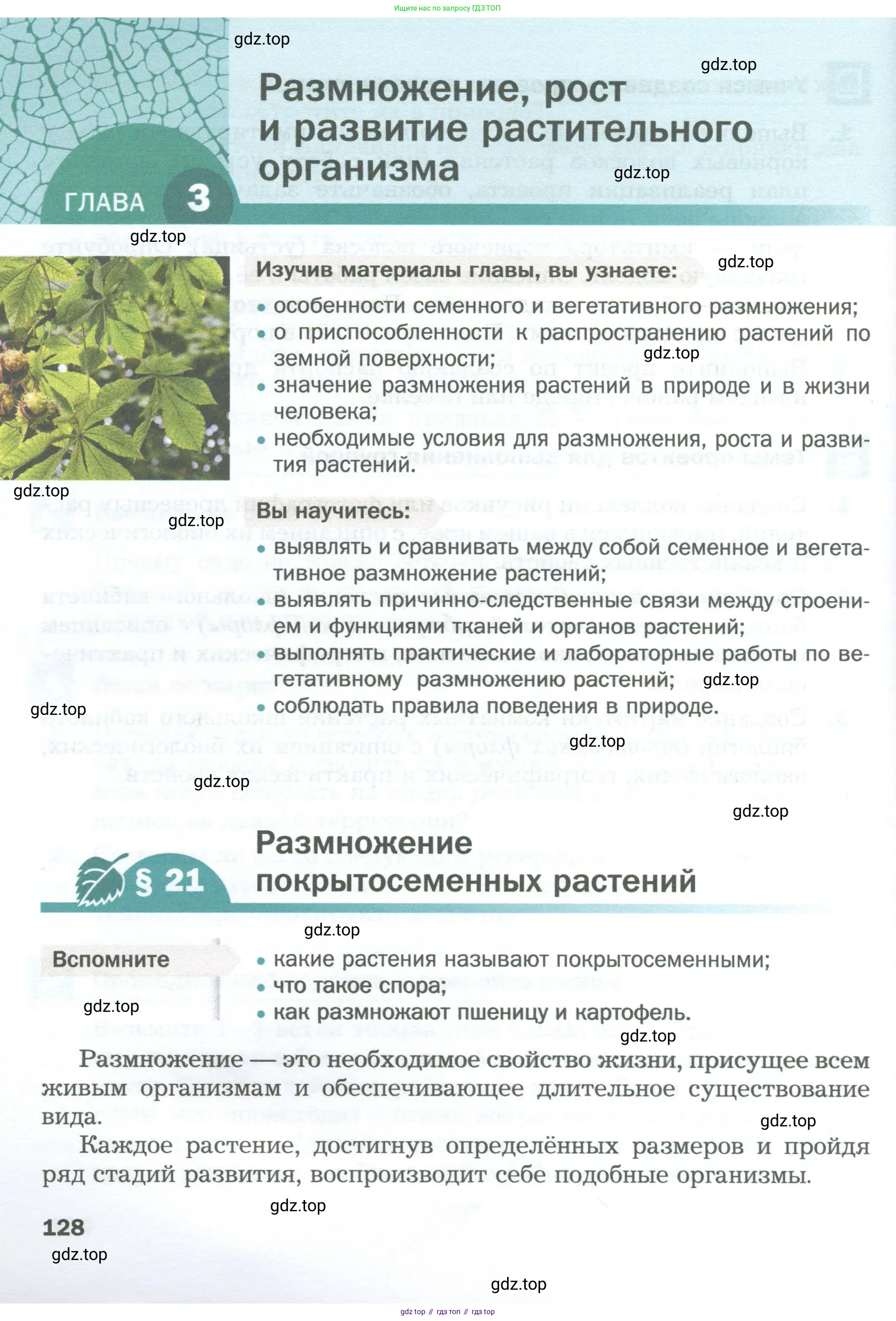 Биология, 6 класс Учебник, авторы: Пономарева Ирма Николаевна, Корнилова Ольга Анатольевна, издательство Просвещение, Москва, 2023, бирюзового цвета, страница 128
