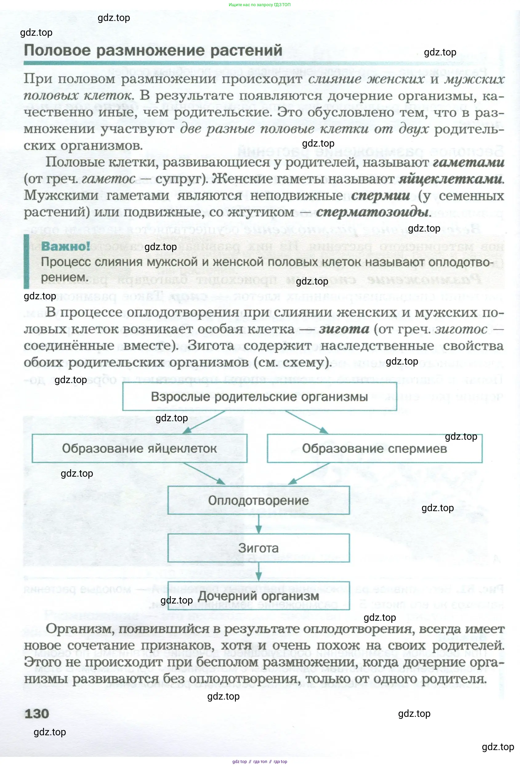 Биология, 6 класс Учебник, авторы: Пономарева Ирма Николаевна, Корнилова Ольга Анатольевна, издательство Просвещение, Москва, 2023, бирюзового цвета, страница 130