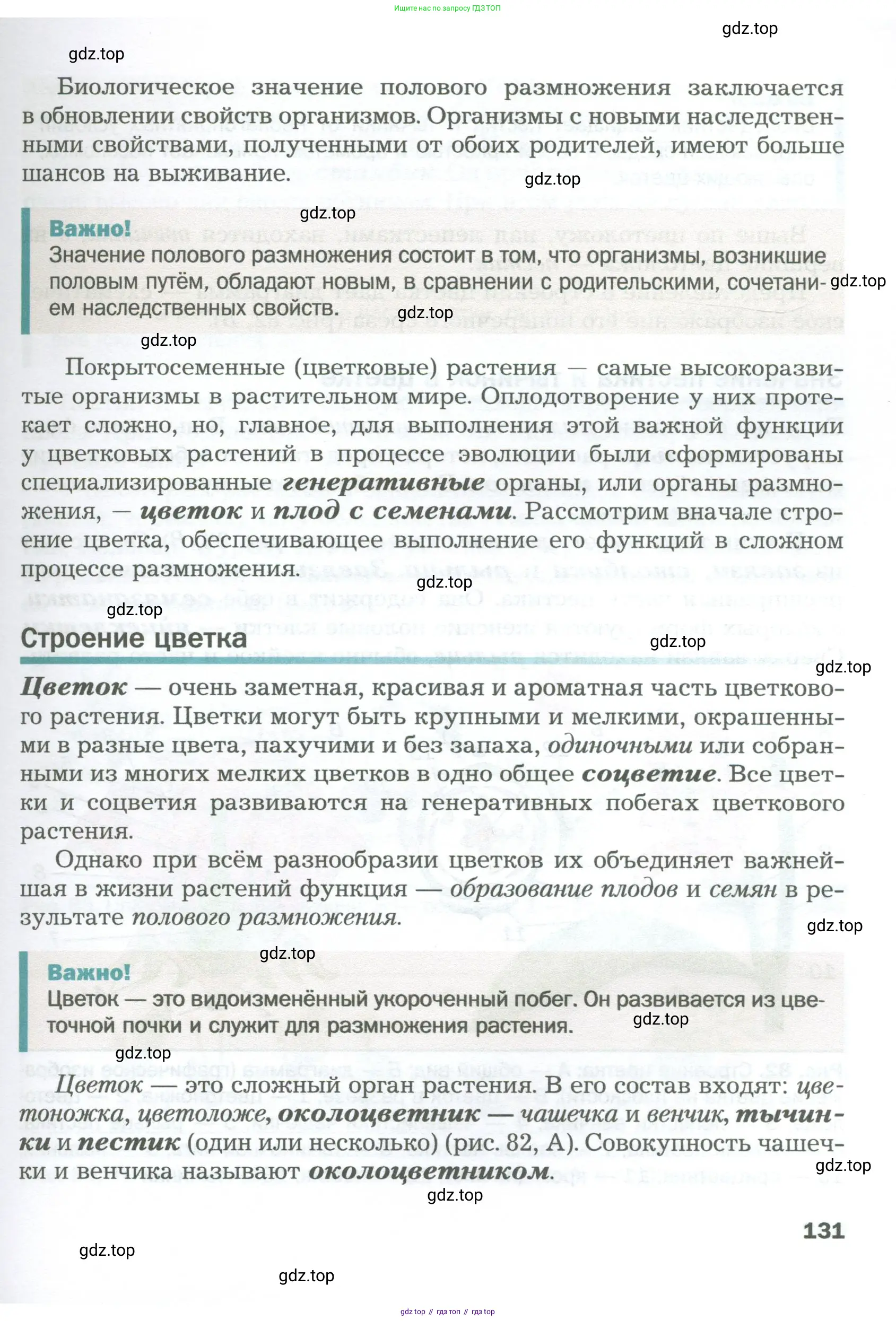 Биология, 6 класс Учебник, авторы: Пономарева Ирма Николаевна, Корнилова Ольга Анатольевна, издательство Просвещение, Москва, 2023, бирюзового цвета, страница 131