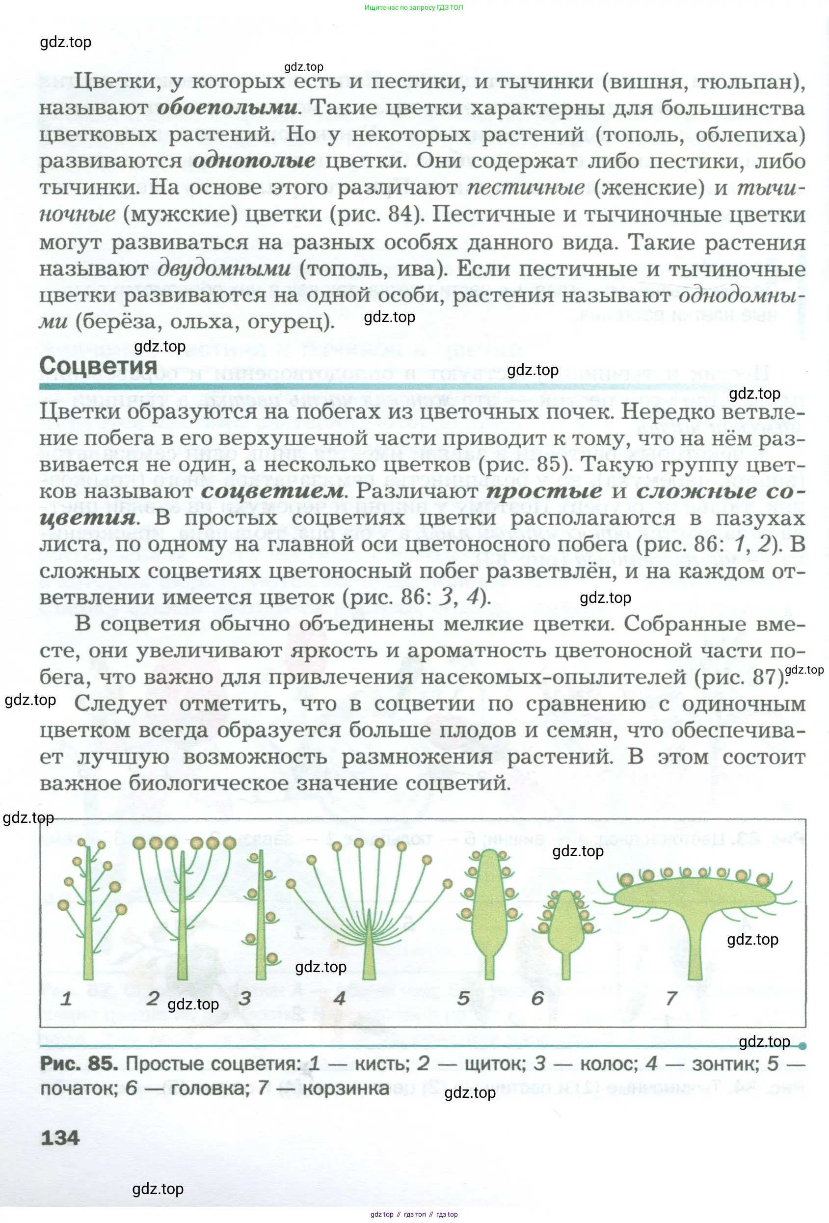 Биология, 6 класс Учебник, авторы: Пономарева Ирма Николаевна, Корнилова Ольга Анатольевна, издательство Просвещение, Москва, 2023, бирюзового цвета, страница 134