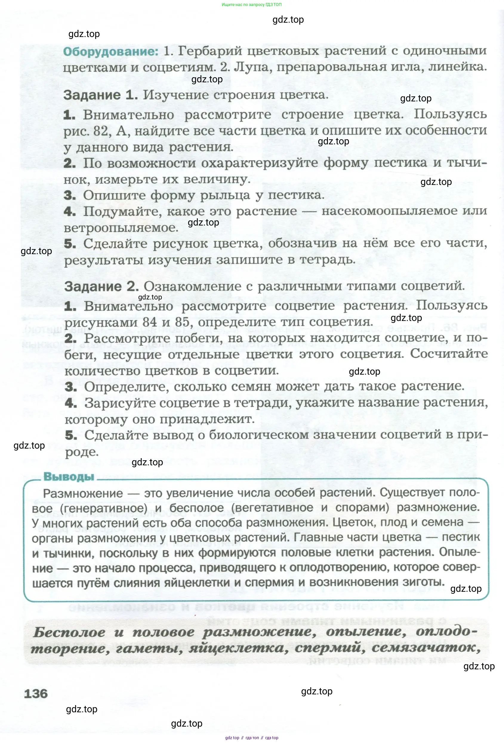 Биология, 6 класс Учебник, авторы: Пономарева Ирма Николаевна, Корнилова Ольга Анатольевна, издательство Просвещение, Москва, 2023, бирюзового цвета, страница 136