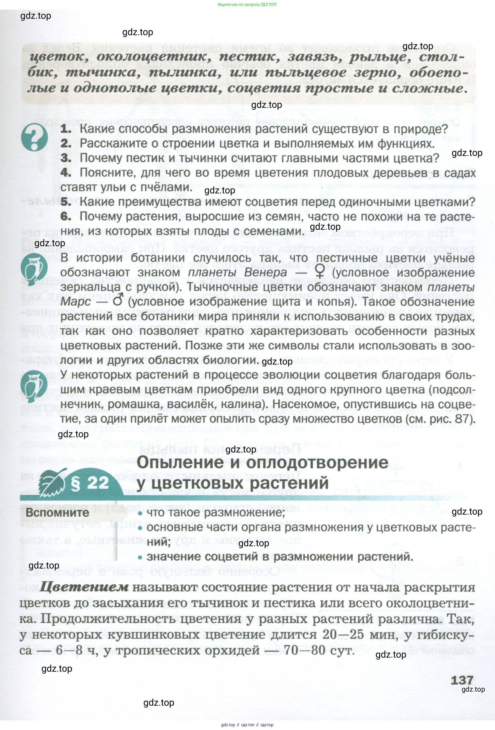 Биология, 6 класс Учебник, авторы: Пономарева Ирма Николаевна, Корнилова Ольга Анатольевна, издательство Просвещение, Москва, 2023, бирюзового цвета, страница 137