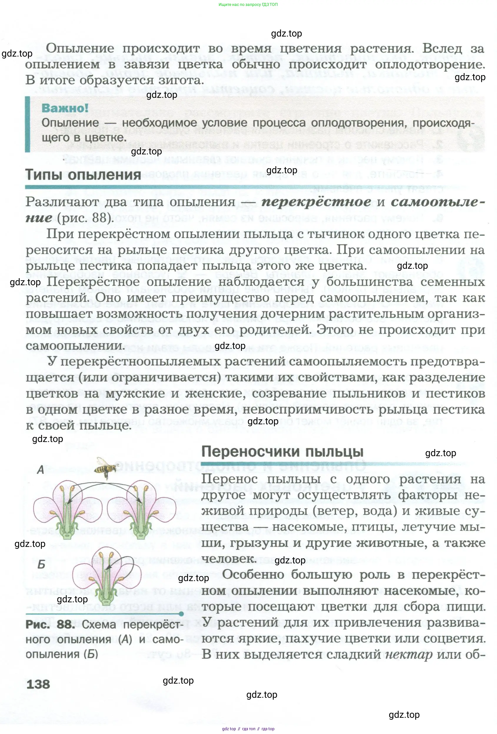 Биология, 6 класс Учебник, авторы: Пономарева Ирма Николаевна, Корнилова Ольга Анатольевна, издательство Просвещение, Москва, 2023, бирюзового цвета, страница 138