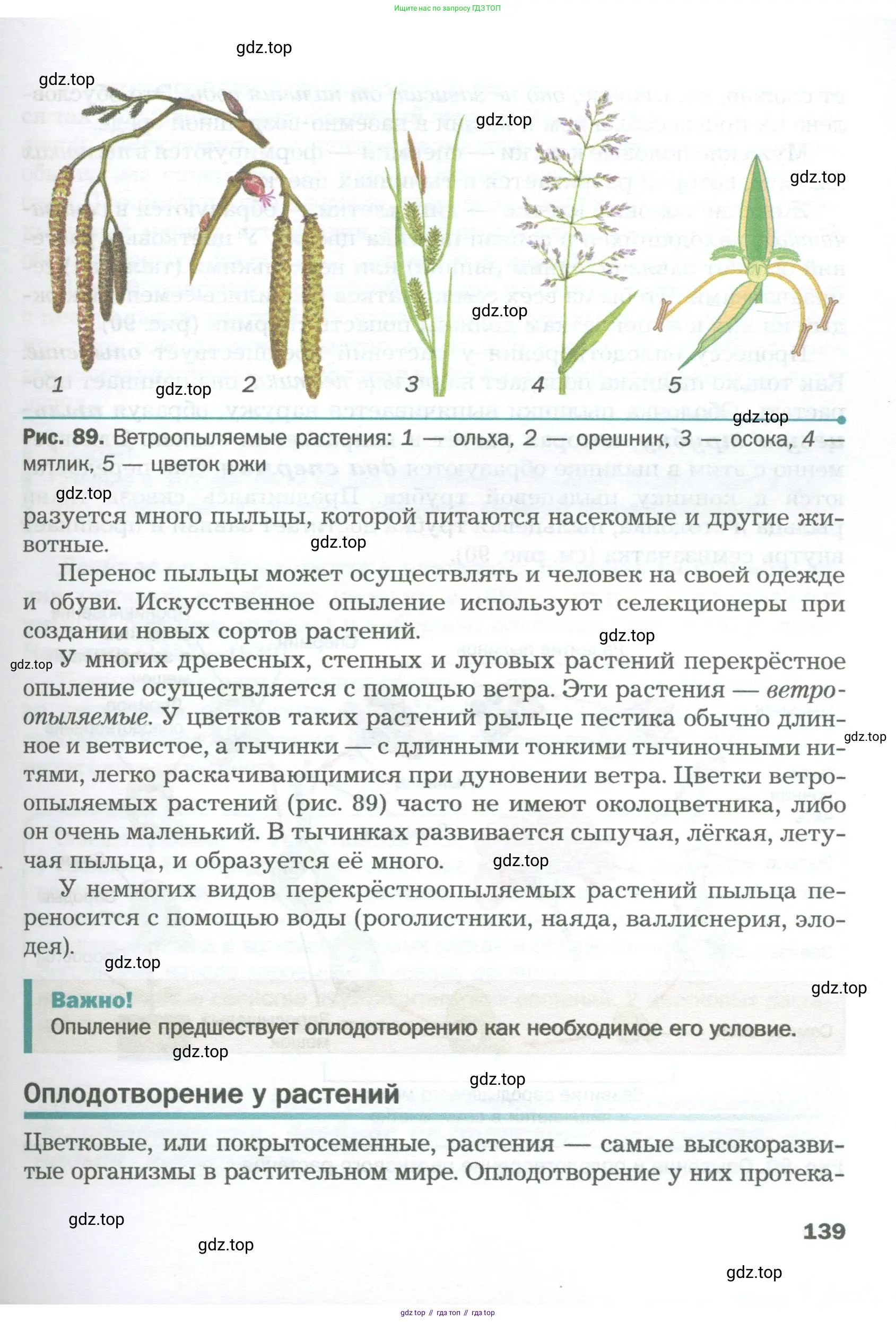 Биология, 6 класс Учебник, авторы: Пономарева Ирма Николаевна, Корнилова Ольга Анатольевна, издательство Просвещение, Москва, 2023, бирюзового цвета, страница 139