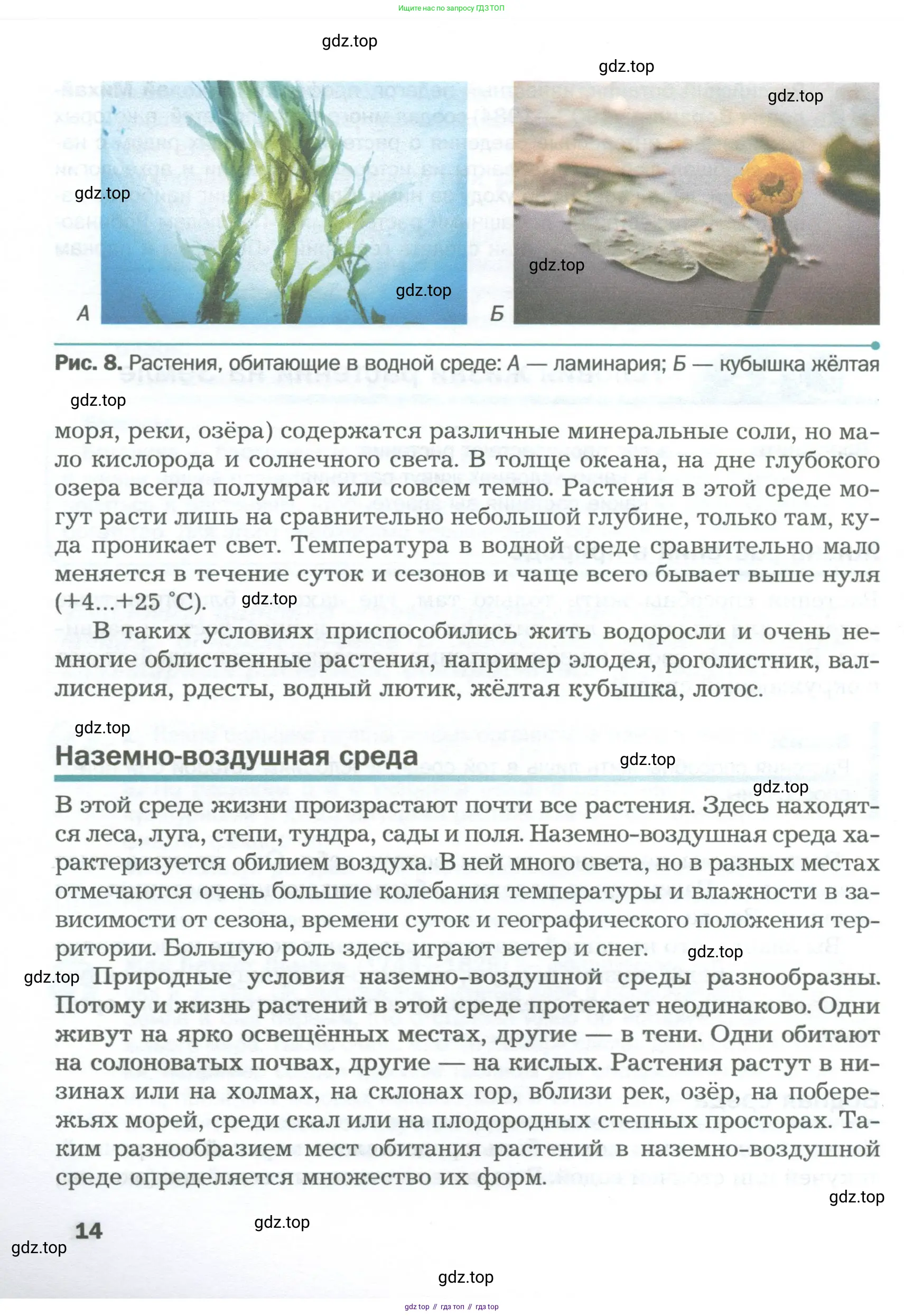 Биология, 6 класс Учебник, авторы: Пономарева Ирма Николаевна, Корнилова Ольга Анатольевна, издательство Просвещение, Москва, 2023, бирюзового цвета, страница 14