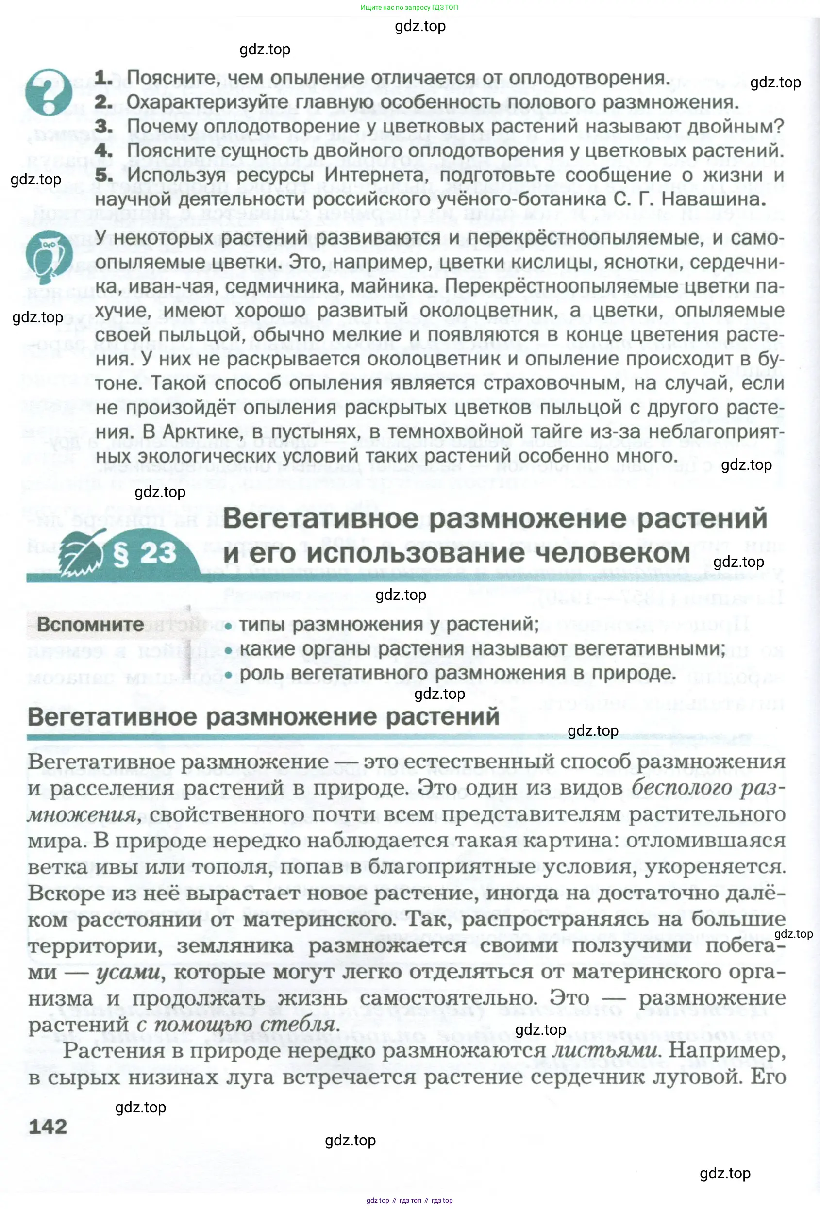Биология, 6 класс Учебник, авторы: Пономарева Ирма Николаевна, Корнилова Ольга Анатольевна, издательство Просвещение, Москва, 2023, бирюзового цвета, страница 142