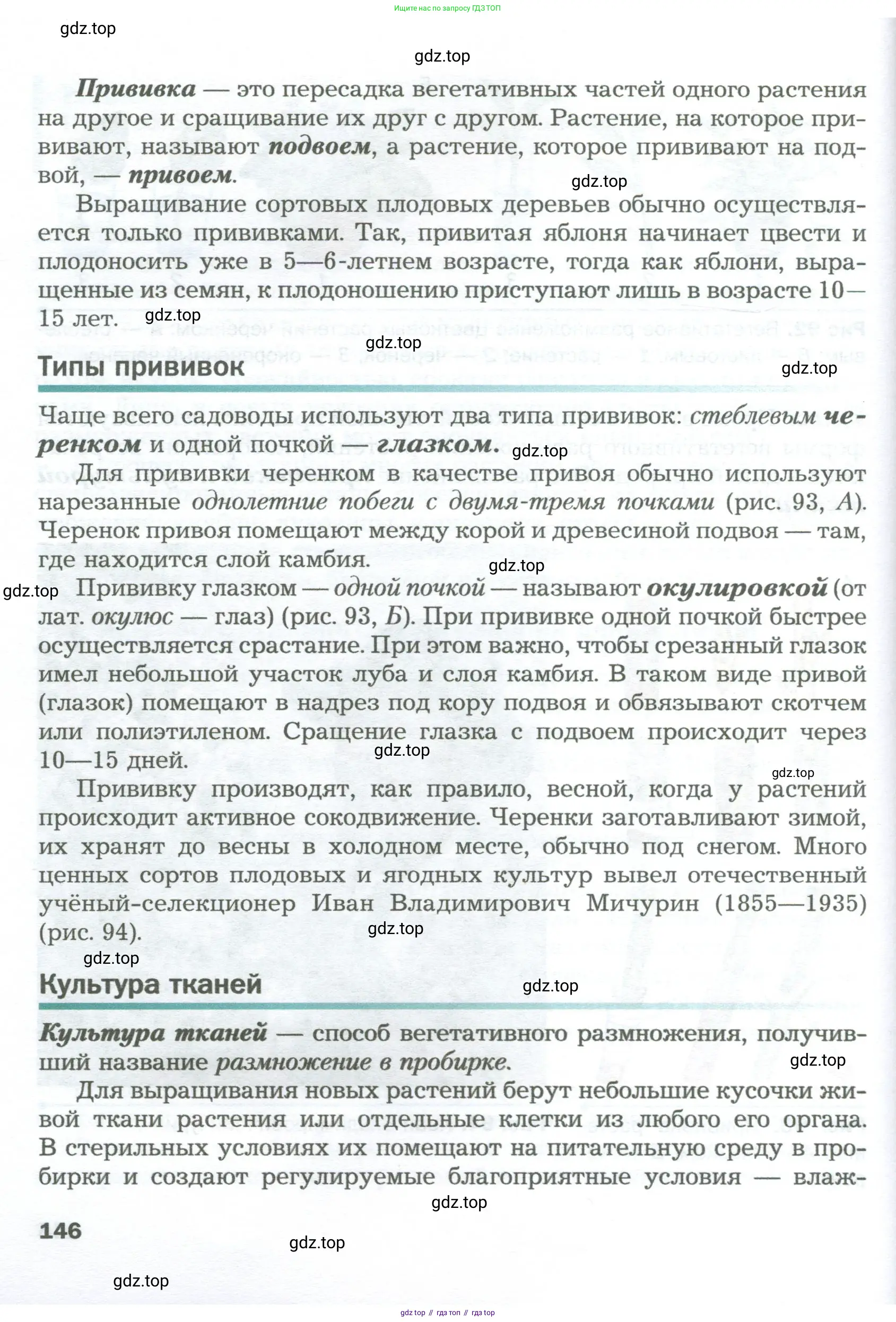 Биология, 6 класс Учебник, авторы: Пономарева Ирма Николаевна, Корнилова Ольга Анатольевна, издательство Просвещение, Москва, 2023, бирюзового цвета, страница 146