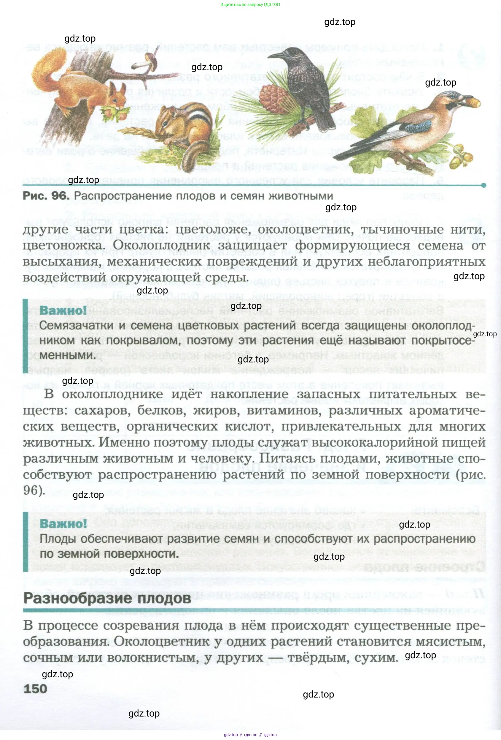 Биология, 6 класс Учебник, авторы: Пономарева Ирма Николаевна, Корнилова Ольга Анатольевна, издательство Просвещение, Москва, 2023, бирюзового цвета, страница 150