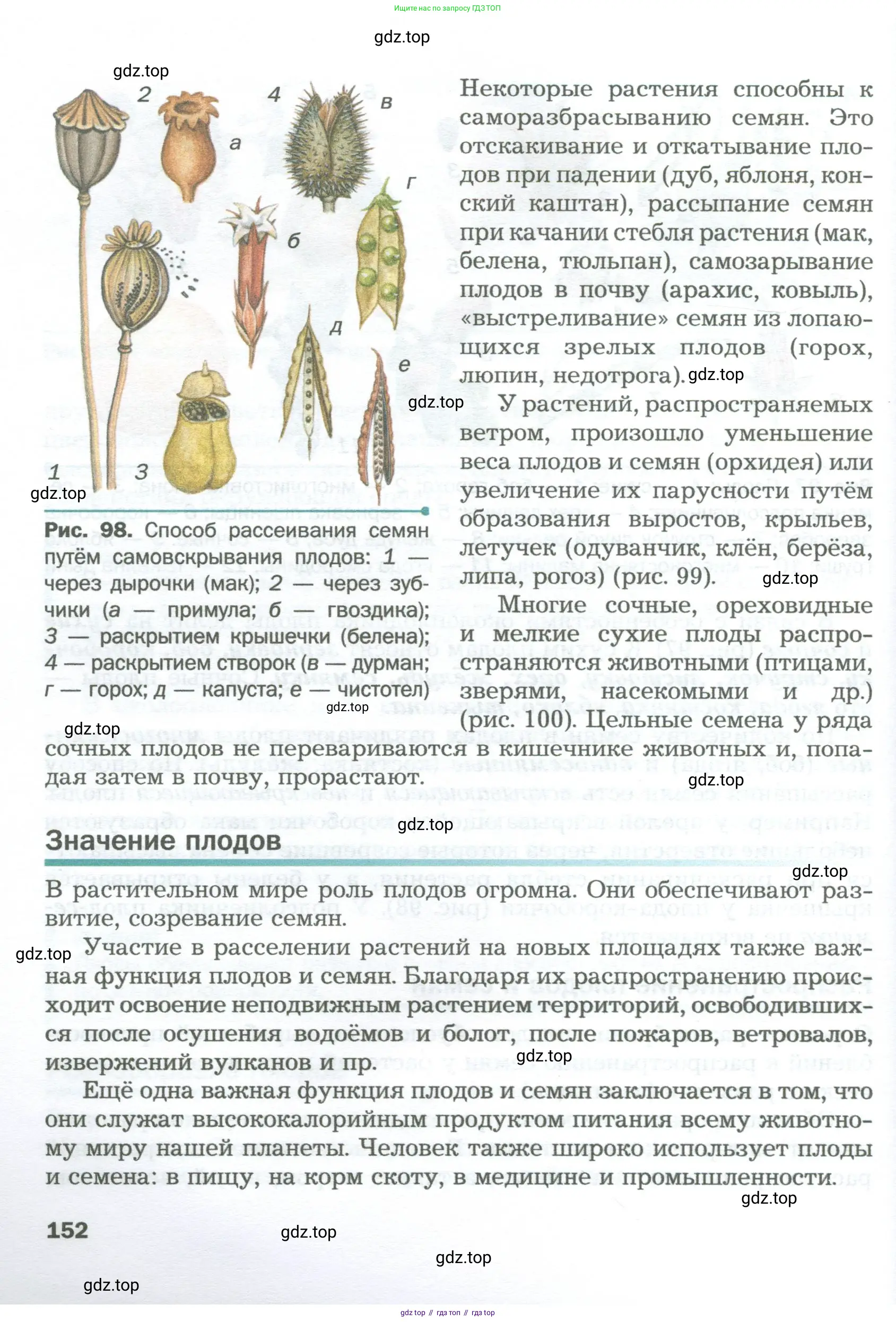 Биология, 6 класс Учебник, авторы: Пономарева Ирма Николаевна, Корнилова Ольга Анатольевна, издательство Просвещение, Москва, 2023, бирюзового цвета, страница 152