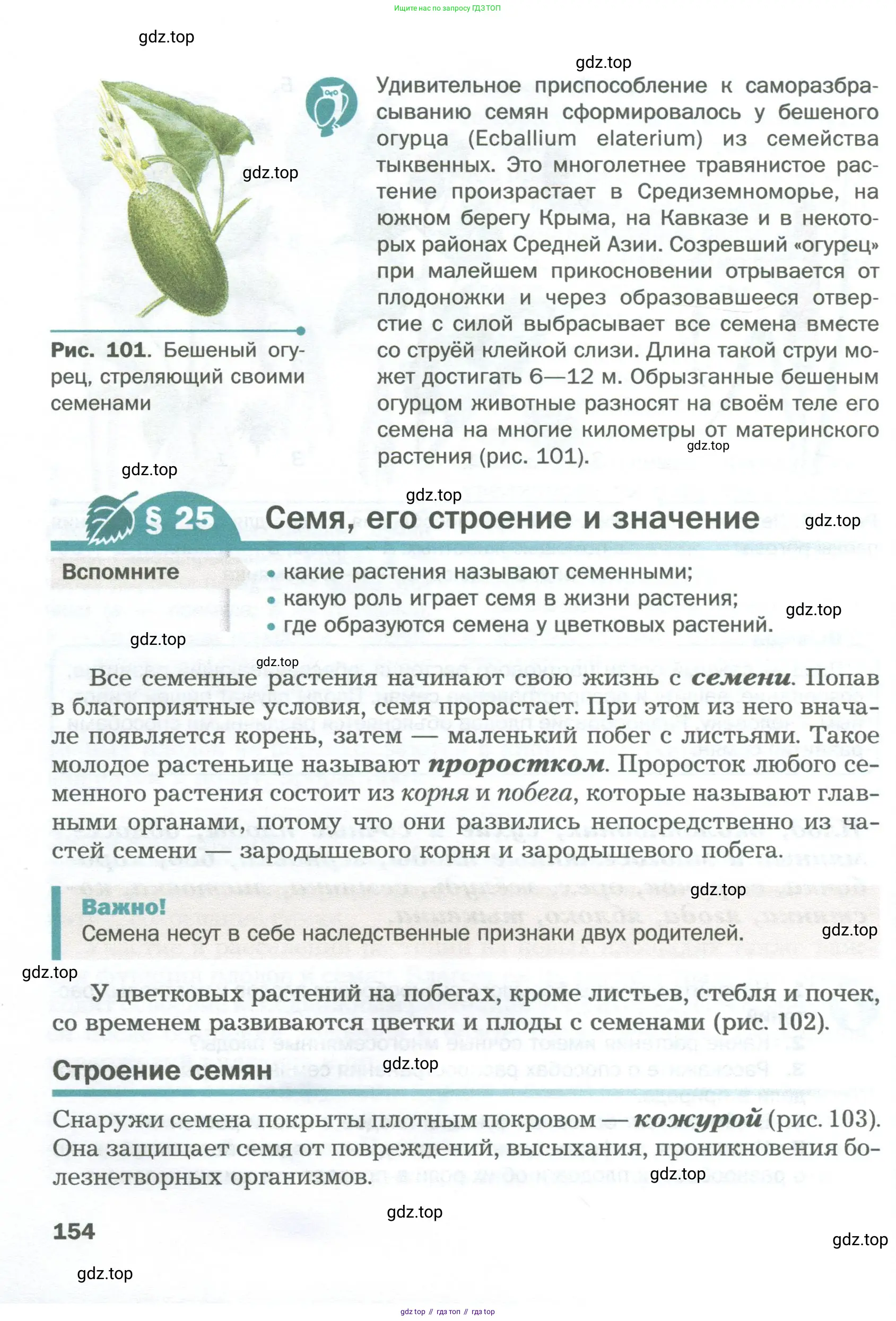 Биология, 6 класс Учебник, авторы: Пономарева Ирма Николаевна, Корнилова Ольга Анатольевна, издательство Просвещение, Москва, 2023, бирюзового цвета, страница 154