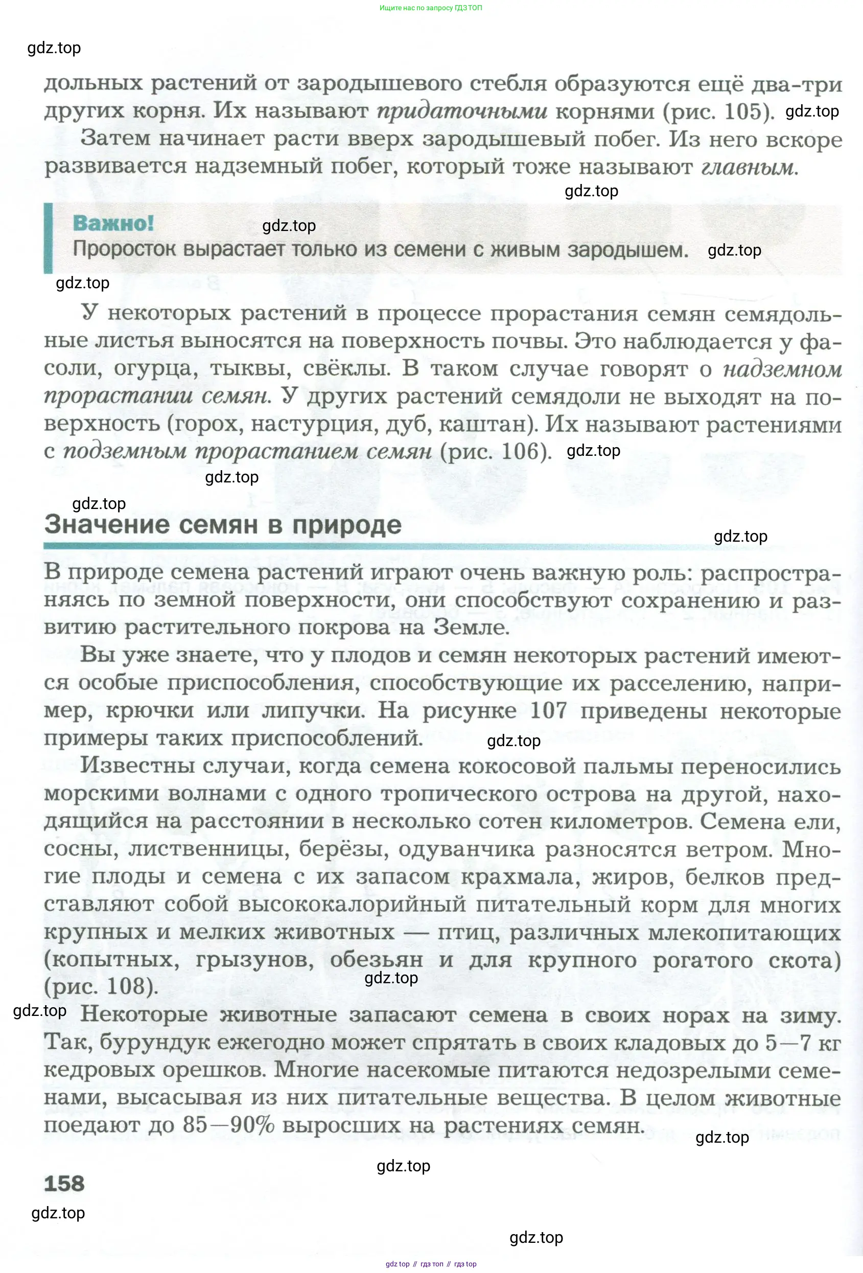 Биология, 6 класс Учебник, авторы: Пономарева Ирма Николаевна, Корнилова Ольга Анатольевна, издательство Просвещение, Москва, 2023, бирюзового цвета, страница 158