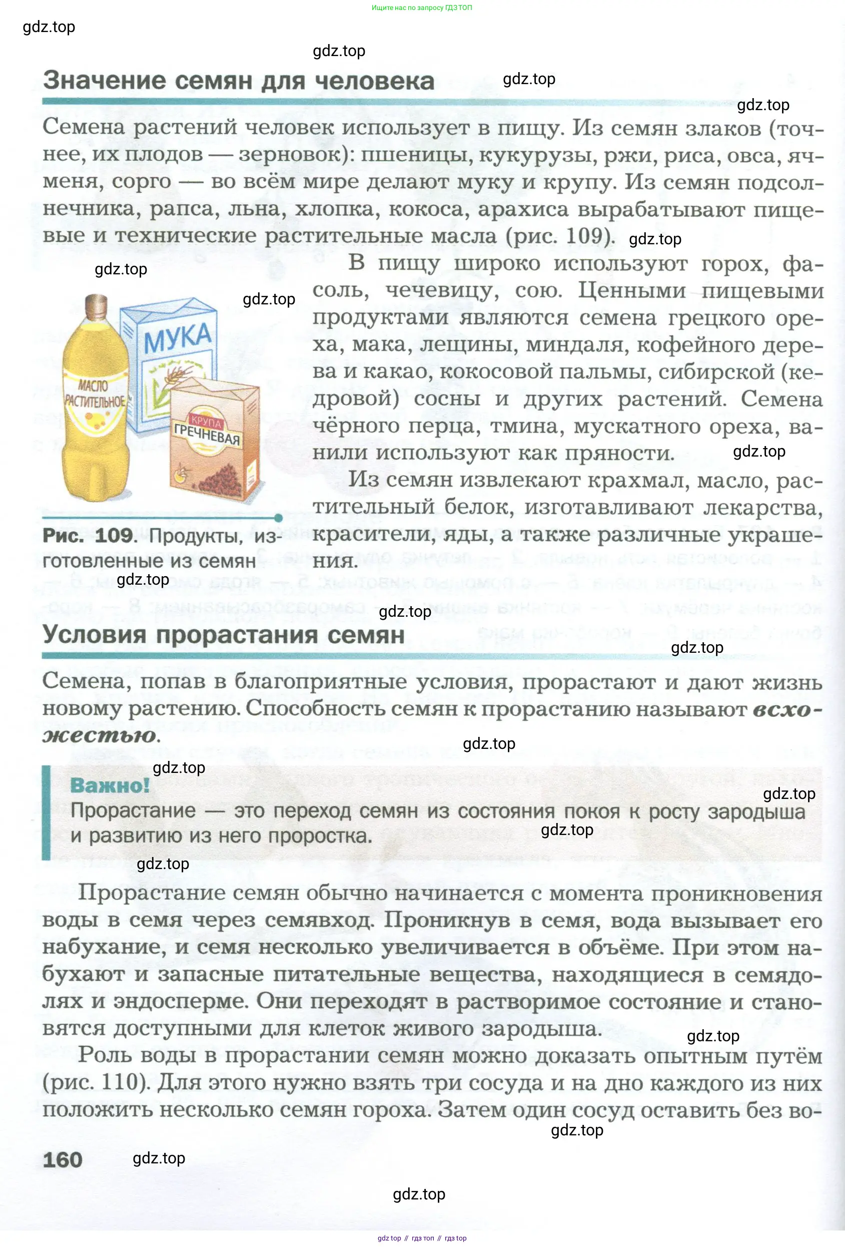 Биология, 6 класс Учебник, авторы: Пономарева Ирма Николаевна, Корнилова Ольга Анатольевна, издательство Просвещение, Москва, 2023, бирюзового цвета, страница 160
