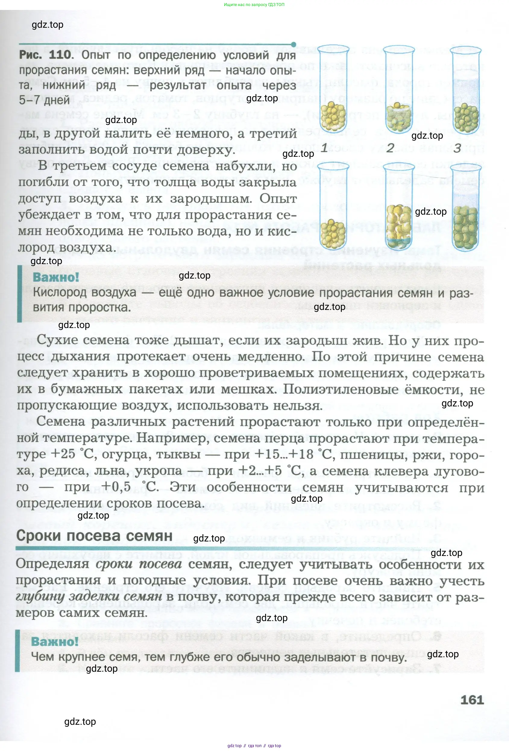 Биология, 6 класс Учебник, авторы: Пономарева Ирма Николаевна, Корнилова Ольга Анатольевна, издательство Просвещение, Москва, 2023, бирюзового цвета, страница 161