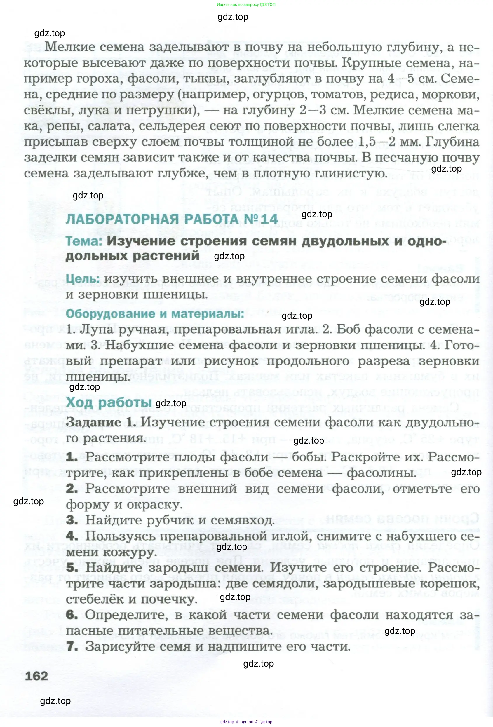 Биология, 6 класс Учебник, авторы: Пономарева Ирма Николаевна, Корнилова Ольга Анатольевна, издательство Просвещение, Москва, 2023, бирюзового цвета, страница 162