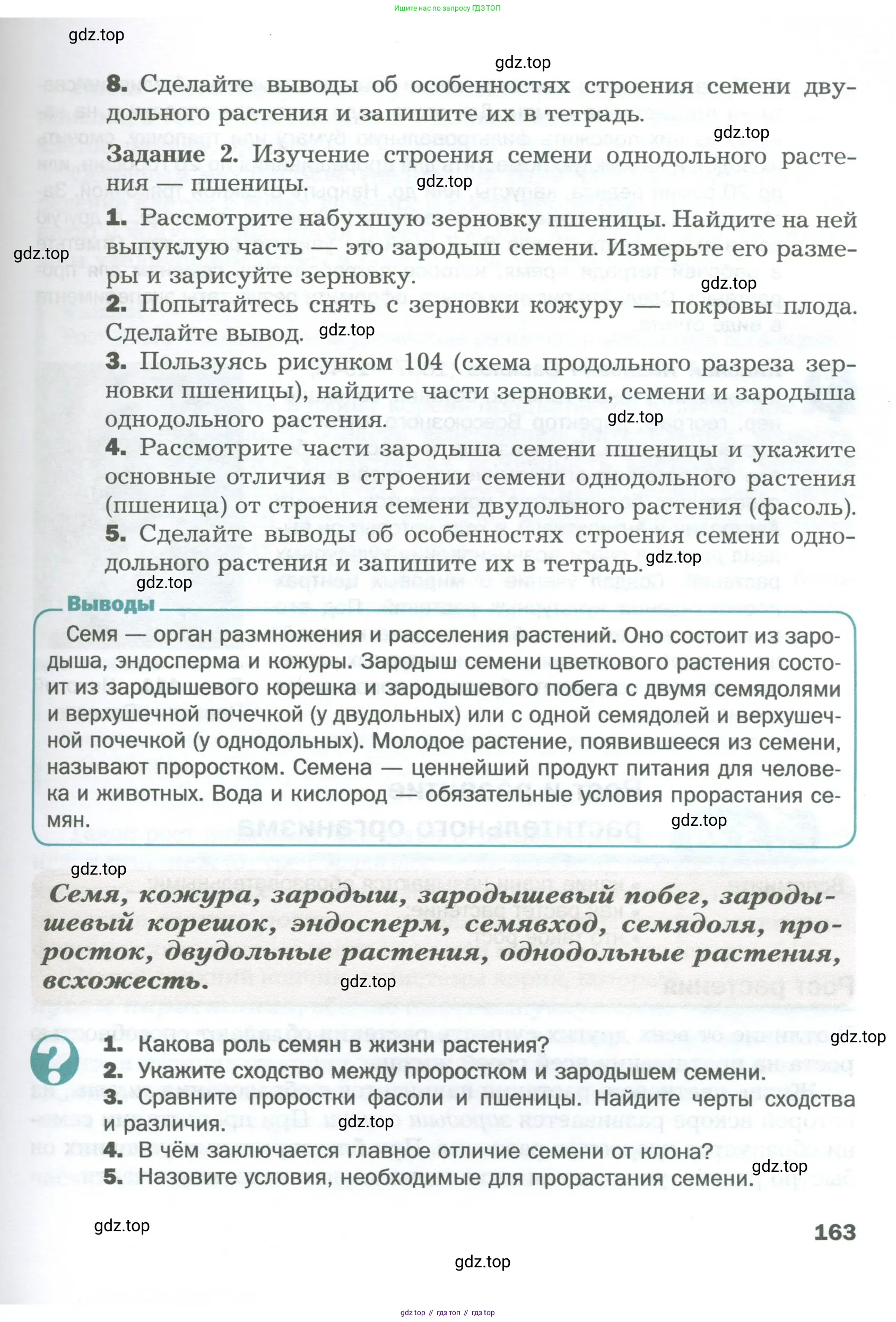 Биология, 6 класс Учебник, авторы: Пономарева Ирма Николаевна, Корнилова Ольга Анатольевна, издательство Просвещение, Москва, 2023, бирюзового цвета, страница 163