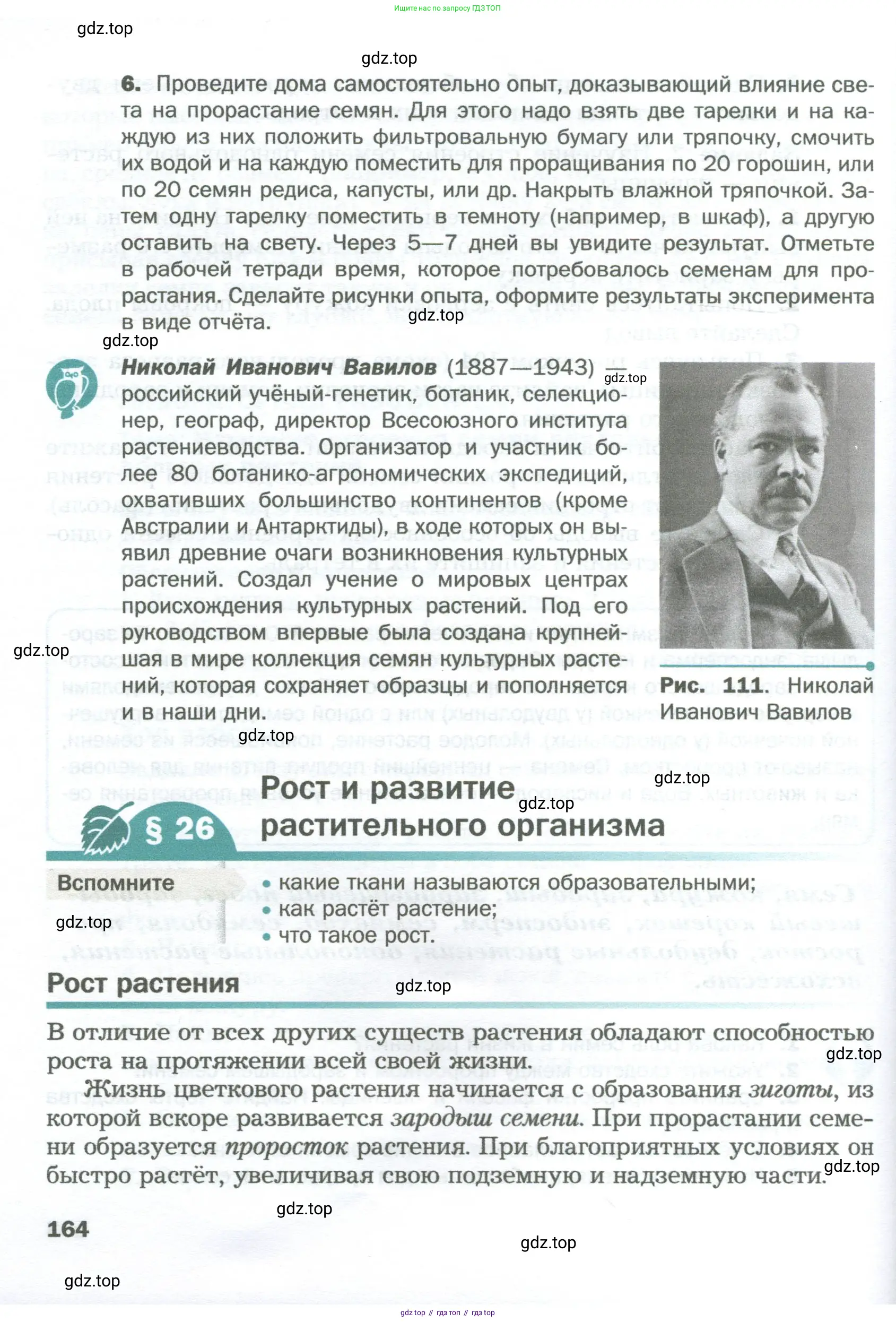 Биология, 6 класс Учебник, авторы: Пономарева Ирма Николаевна, Корнилова Ольга Анатольевна, издательство Просвещение, Москва, 2023, бирюзового цвета, страница 164