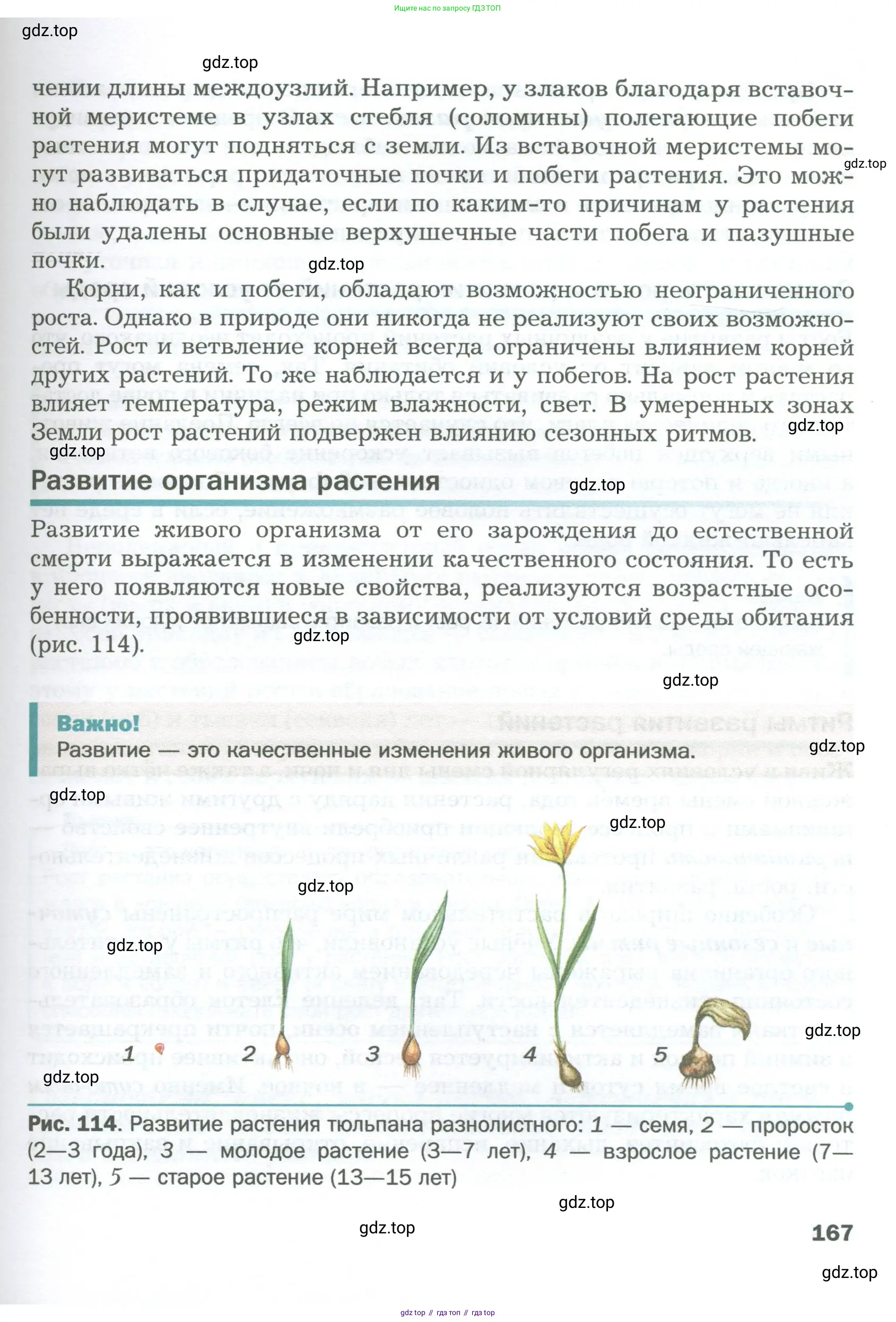 Биология, 6 класс Учебник, авторы: Пономарева Ирма Николаевна, Корнилова Ольга Анатольевна, издательство Просвещение, Москва, 2023, бирюзового цвета, страница 167