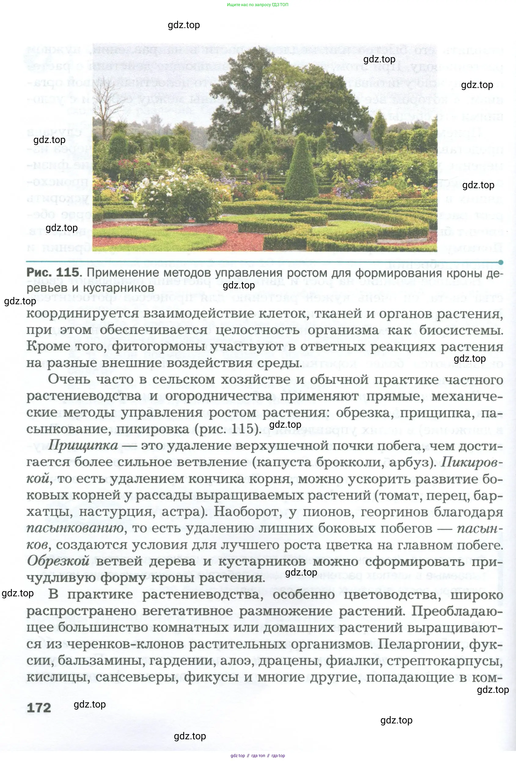 Биология, 6 класс Учебник, авторы: Пономарева Ирма Николаевна, Корнилова Ольга Анатольевна, издательство Просвещение, Москва, 2023, бирюзового цвета, страница 172