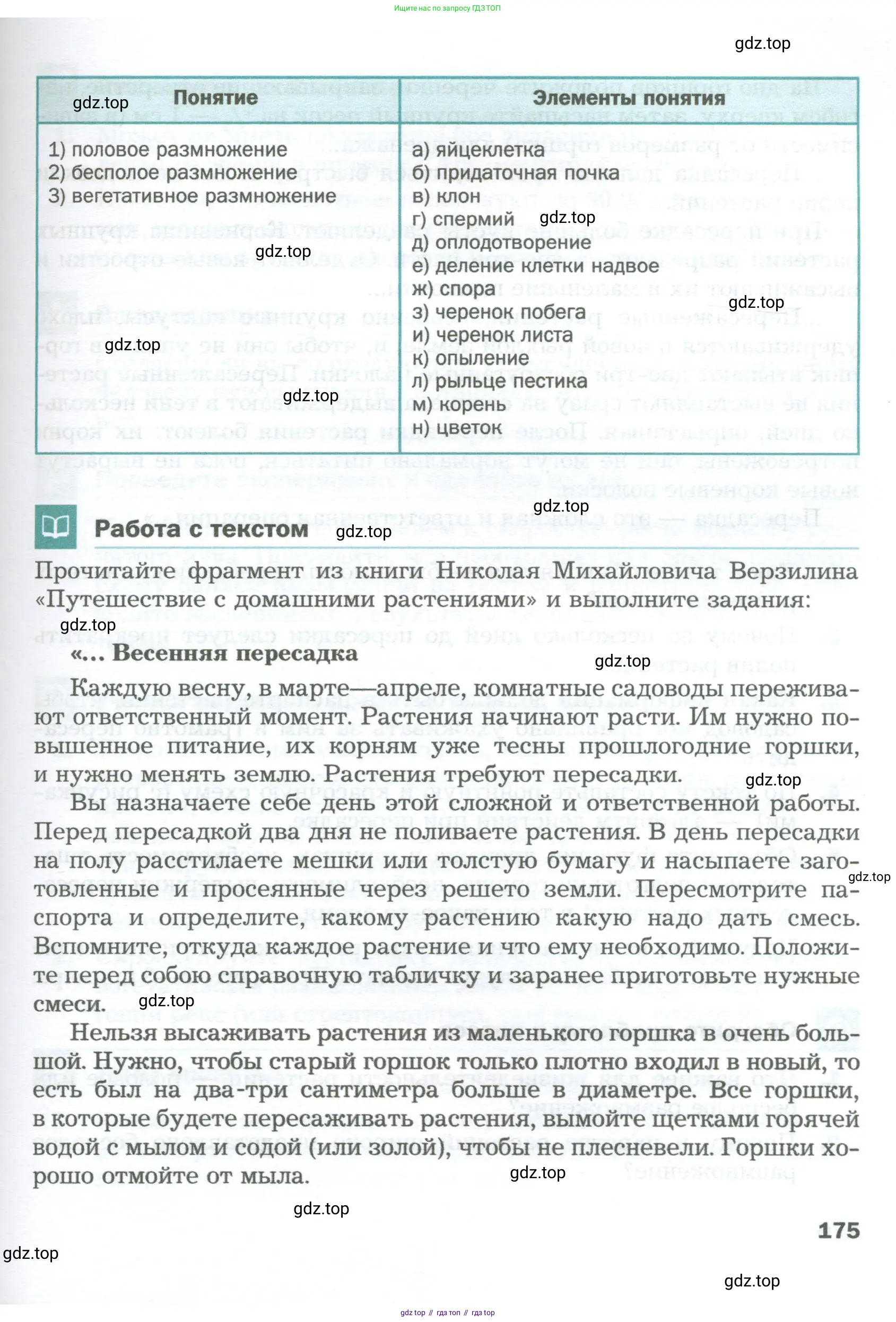 Биология, 6 класс Учебник, авторы: Пономарева Ирма Николаевна, Корнилова Ольга Анатольевна, издательство Просвещение, Москва, 2023, бирюзового цвета, страница 175