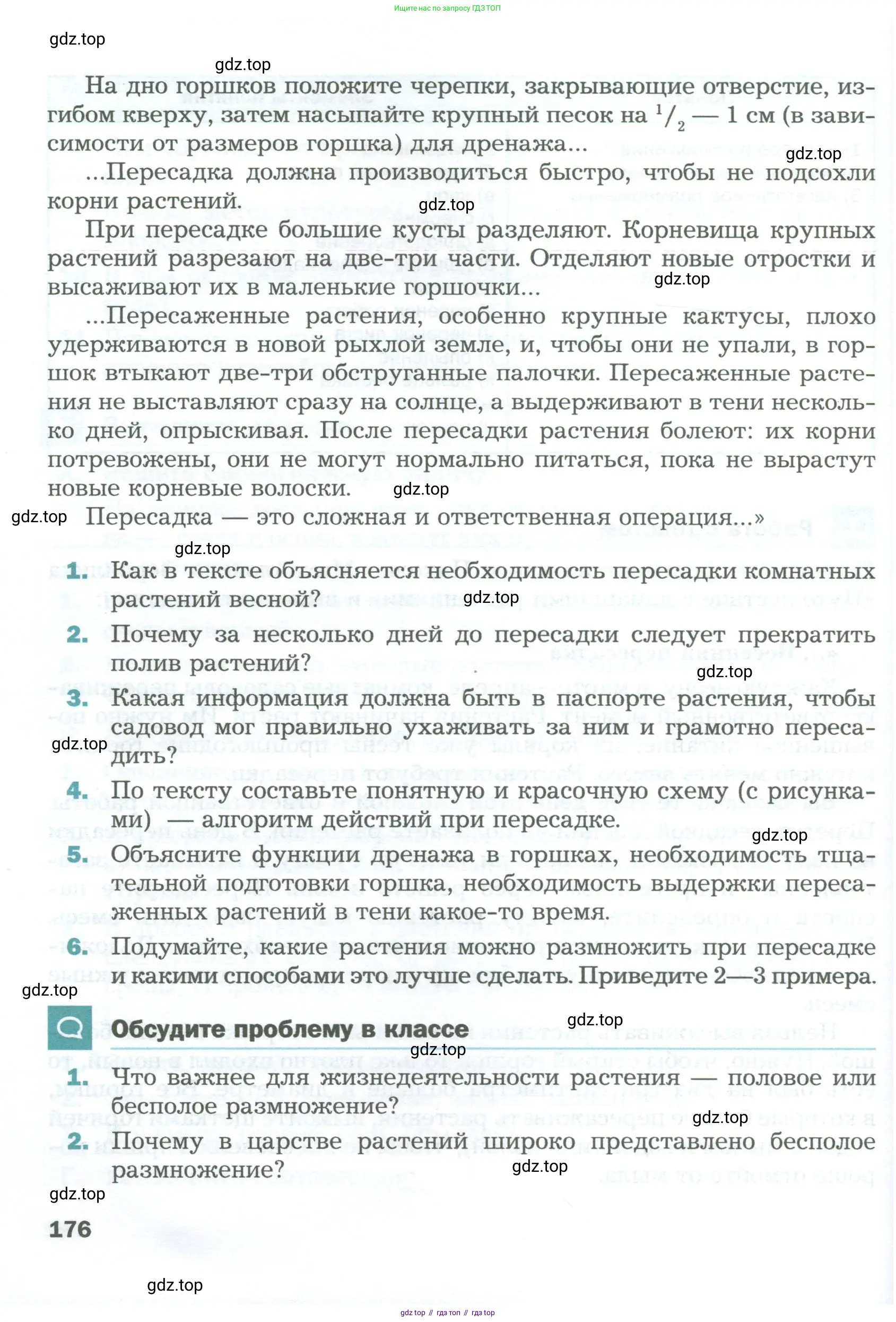 Биология, 6 класс Учебник, авторы: Пономарева Ирма Николаевна, Корнилова Ольга Анатольевна, издательство Просвещение, Москва, 2023, бирюзового цвета, страница 176
