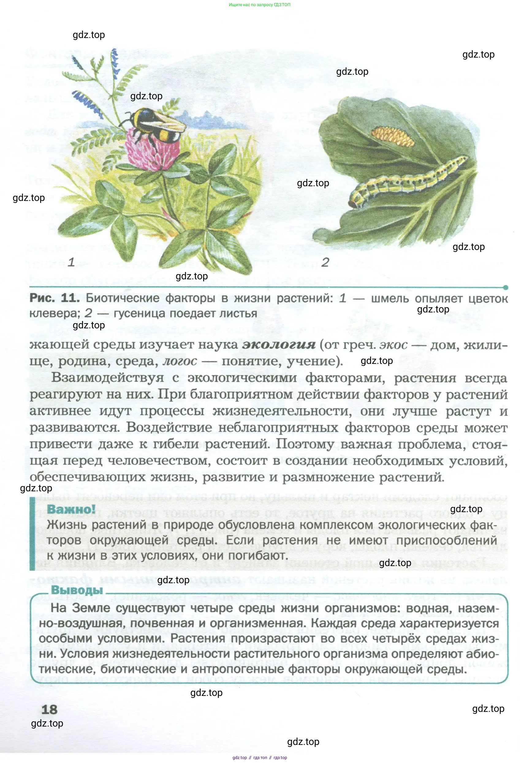 Биология, 6 класс Учебник, авторы: Пономарева Ирма Николаевна, Корнилова Ольга Анатольевна, издательство Просвещение, Москва, 2023, бирюзового цвета, страница 18