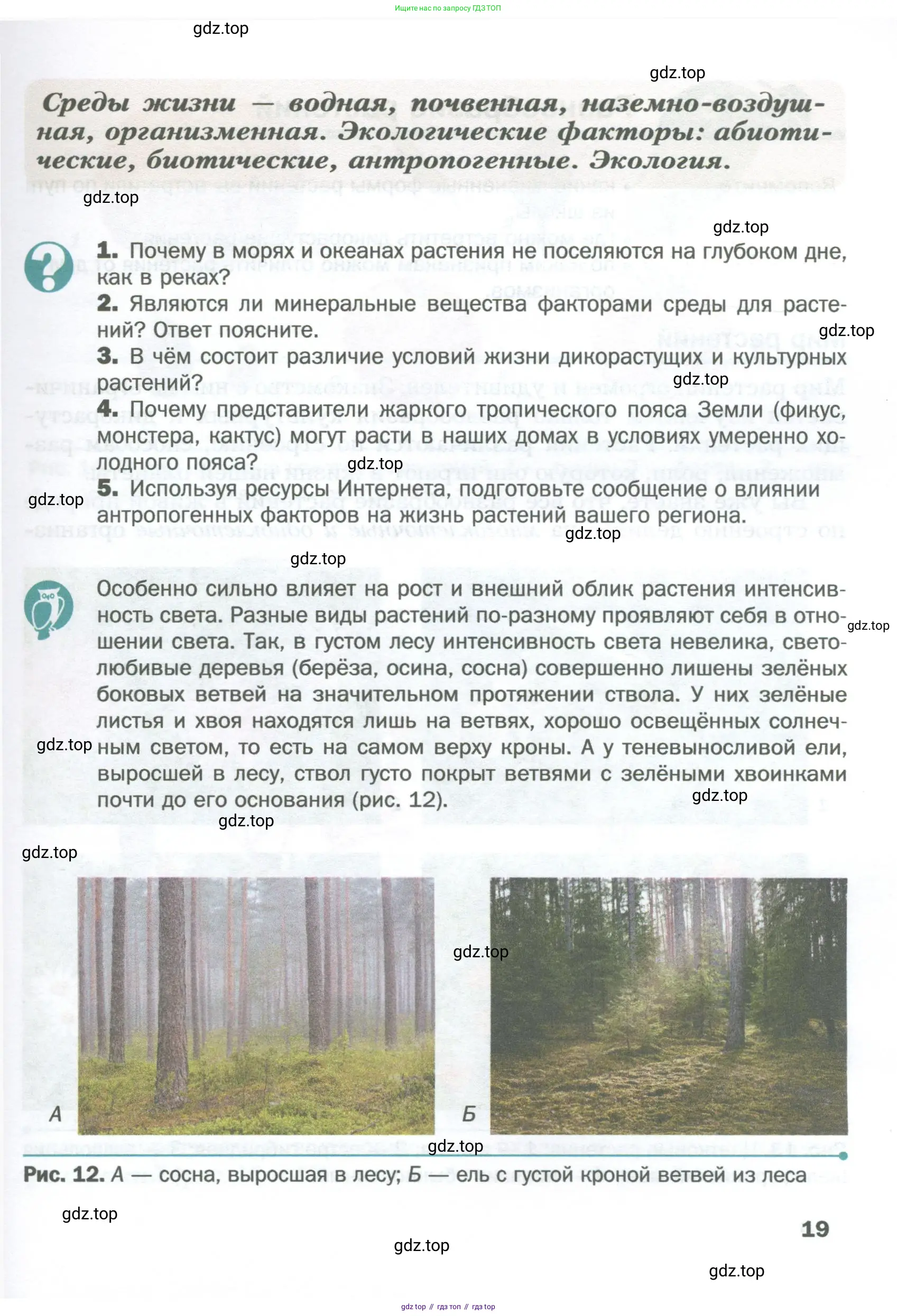 Биология, 6 класс Учебник, авторы: Пономарева Ирма Николаевна, Корнилова Ольга Анатольевна, издательство Просвещение, Москва, 2023, бирюзового цвета, страница 19