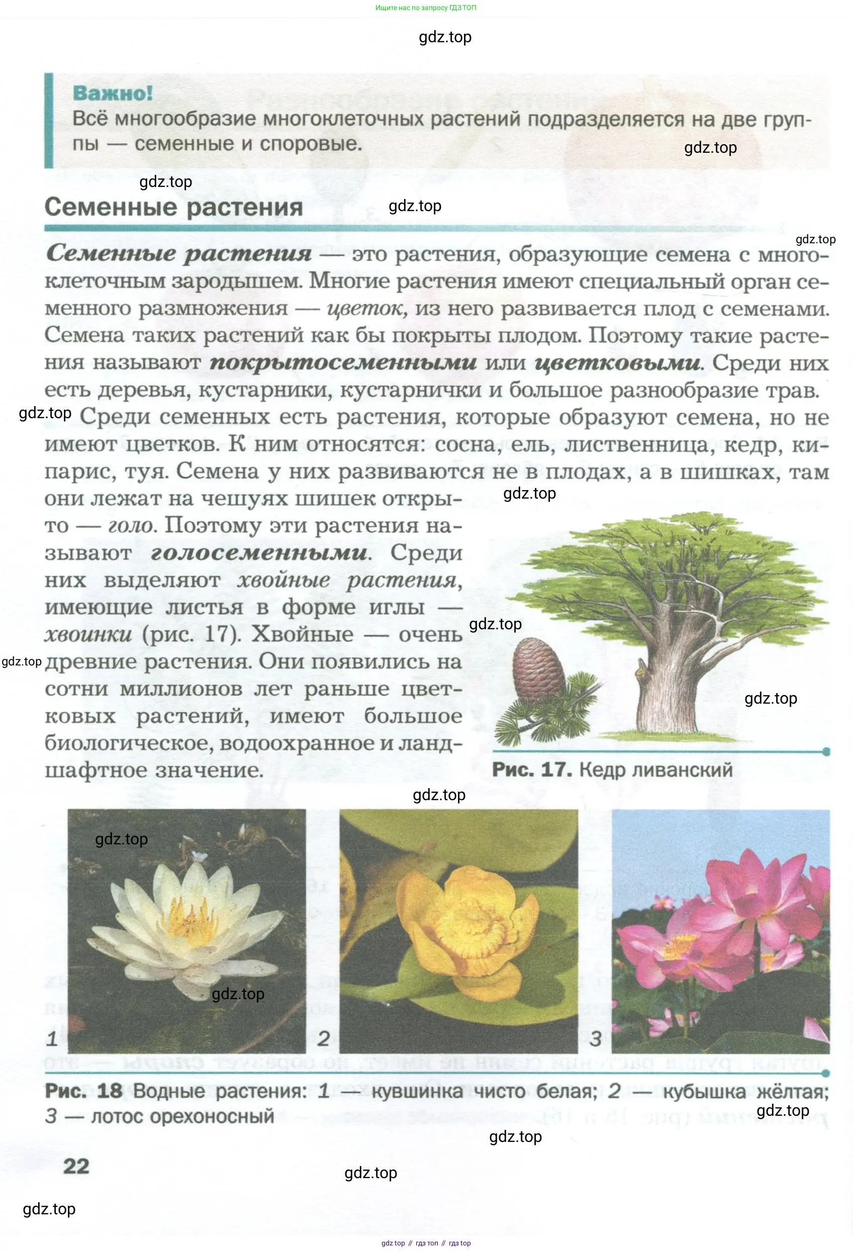 Биология, 6 класс Учебник, авторы: Пономарева Ирма Николаевна, Корнилова Ольга Анатольевна, издательство Просвещение, Москва, 2023, бирюзового цвета, страница 22