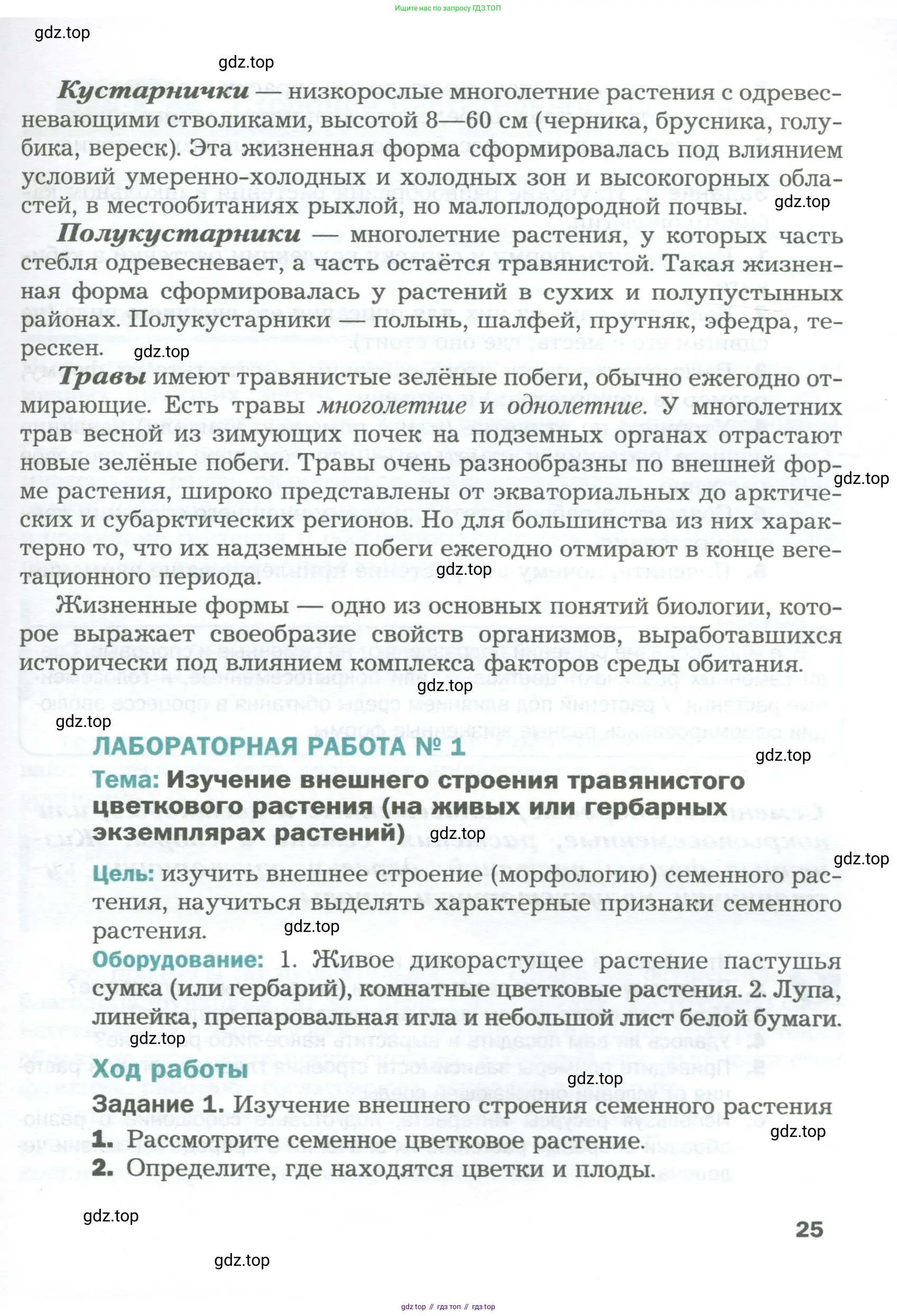 Биология, 6 класс Учебник, авторы: Пономарева Ирма Николаевна, Корнилова Ольга Анатольевна, издательство Просвещение, Москва, 2023, бирюзового цвета, страница 25