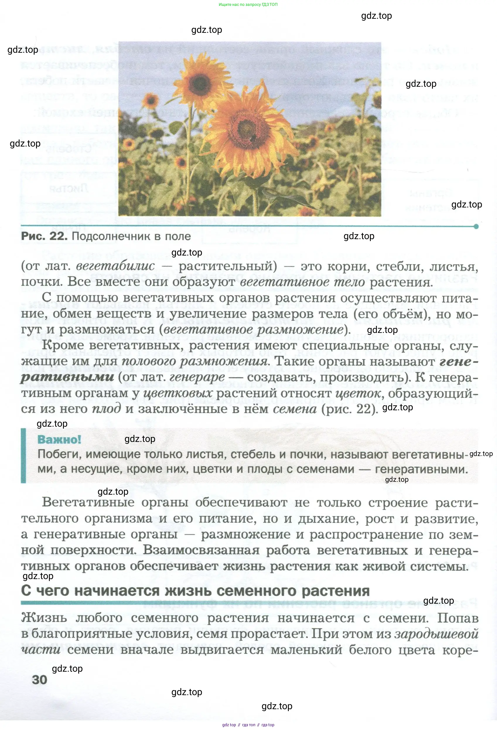 Биология, 6 класс Учебник, авторы: Пономарева Ирма Николаевна, Корнилова Ольга Анатольевна, издательство Просвещение, Москва, 2023, бирюзового цвета, страница 30