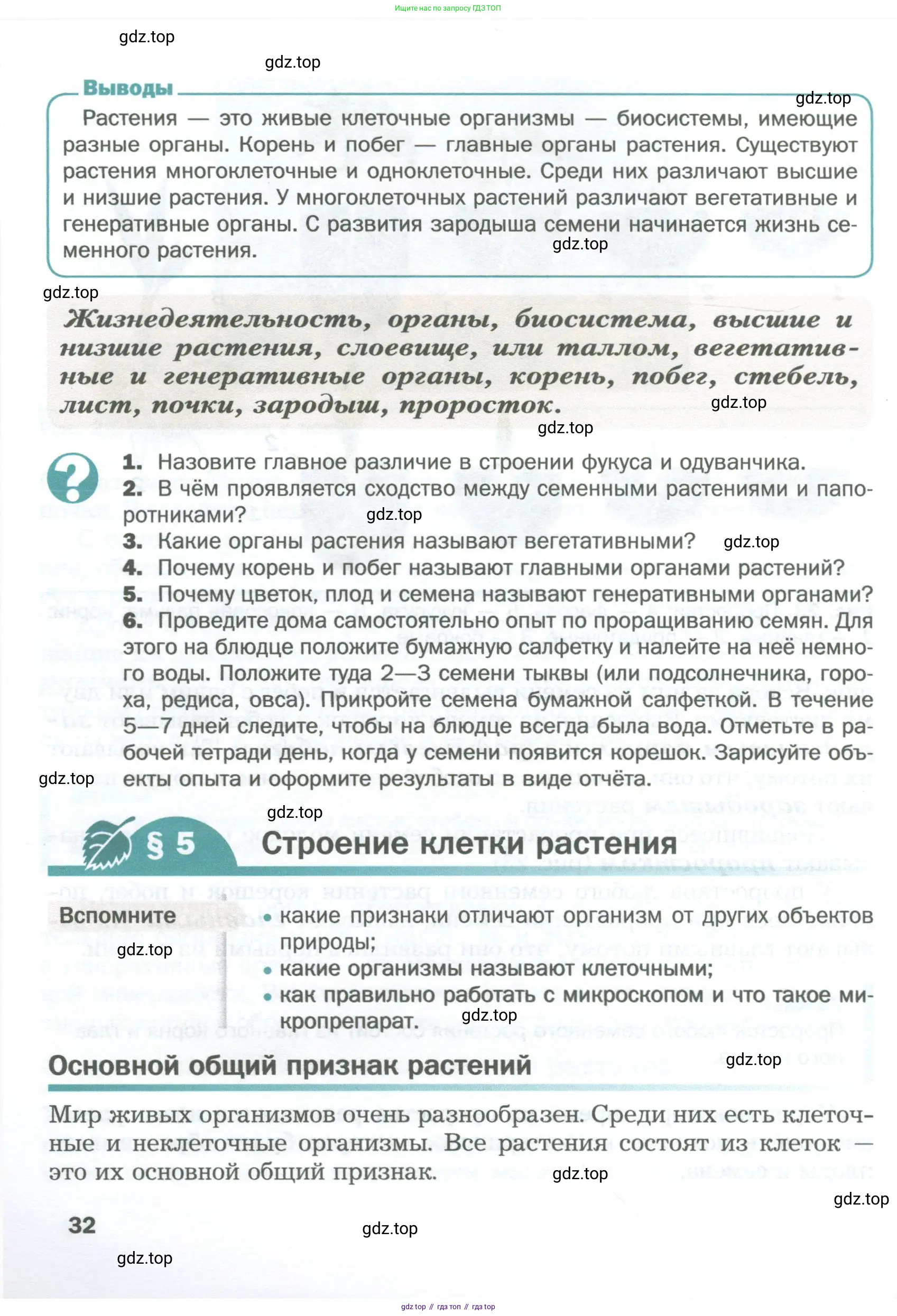 Биология, 6 класс Учебник, авторы: Пономарева Ирма Николаевна, Корнилова Ольга Анатольевна, издательство Просвещение, Москва, 2023, бирюзового цвета, страница 32