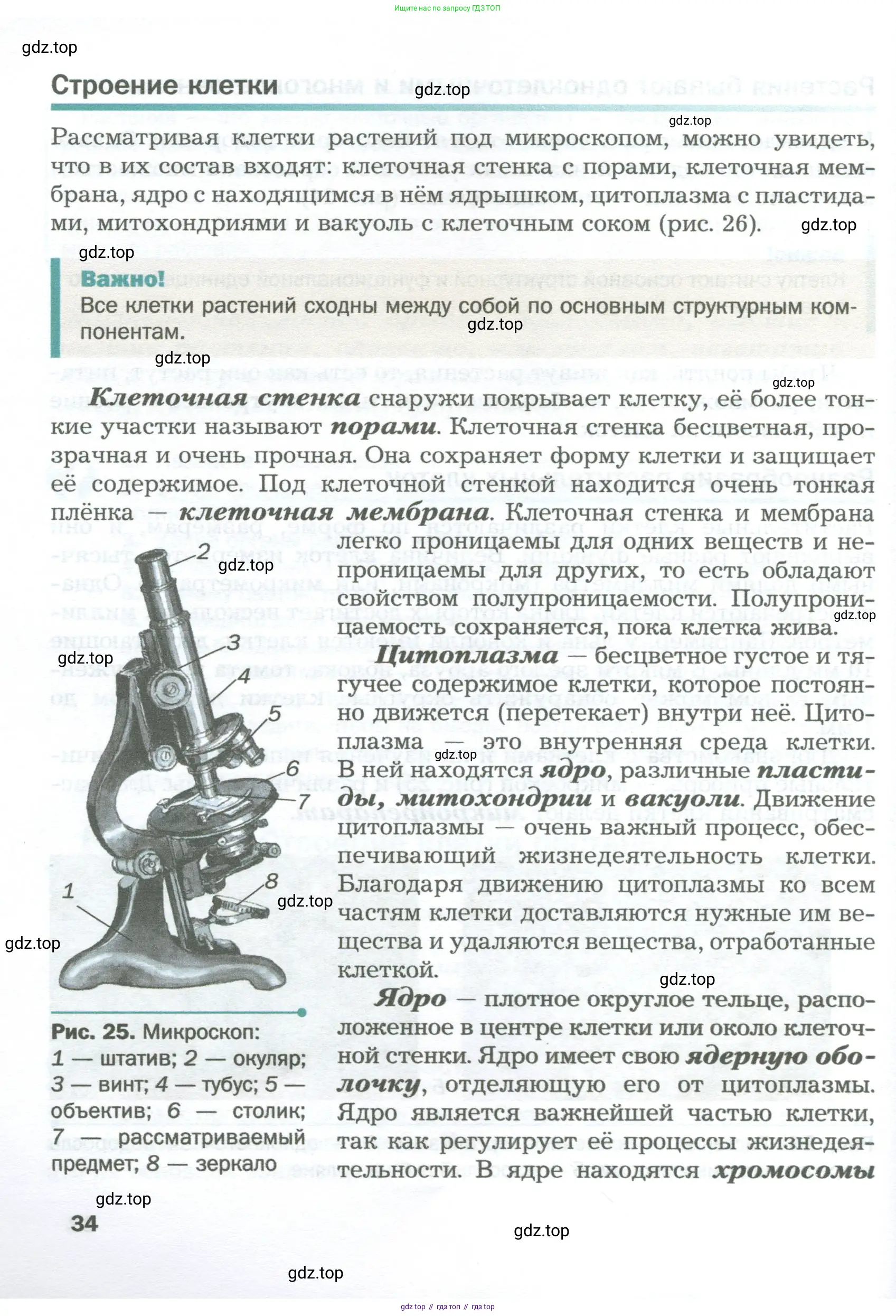 Биология, 6 класс Учебник, авторы: Пономарева Ирма Николаевна, Корнилова Ольга Анатольевна, издательство Просвещение, Москва, 2023, бирюзового цвета, страница 34