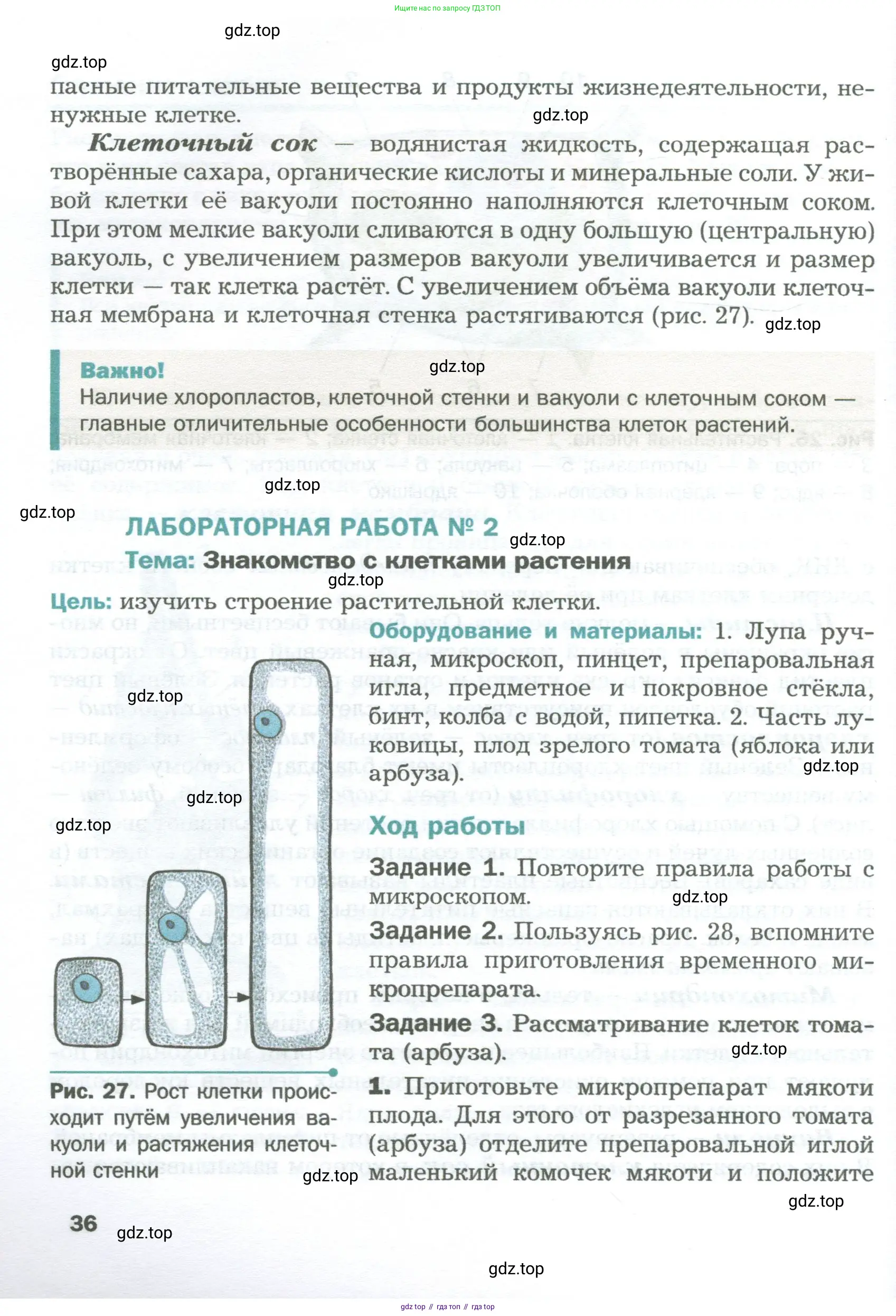 Биология, 6 класс Учебник, авторы: Пономарева Ирма Николаевна, Корнилова Ольга Анатольевна, издательство Просвещение, Москва, 2023, бирюзового цвета, страница 36