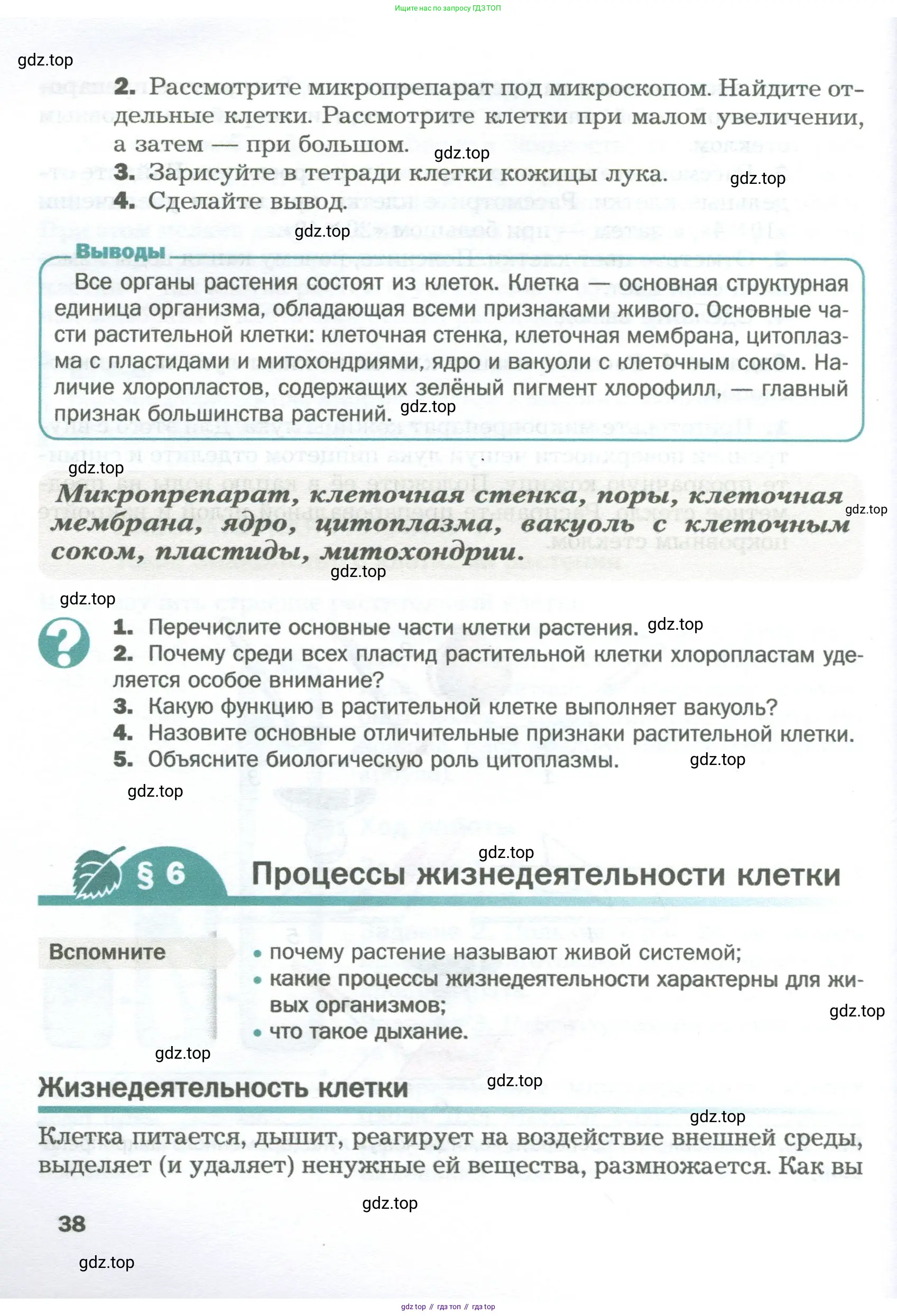 Биология, 6 класс Учебник, авторы: Пономарева Ирма Николаевна, Корнилова Ольга Анатольевна, издательство Просвещение, Москва, 2023, бирюзового цвета, страница 38