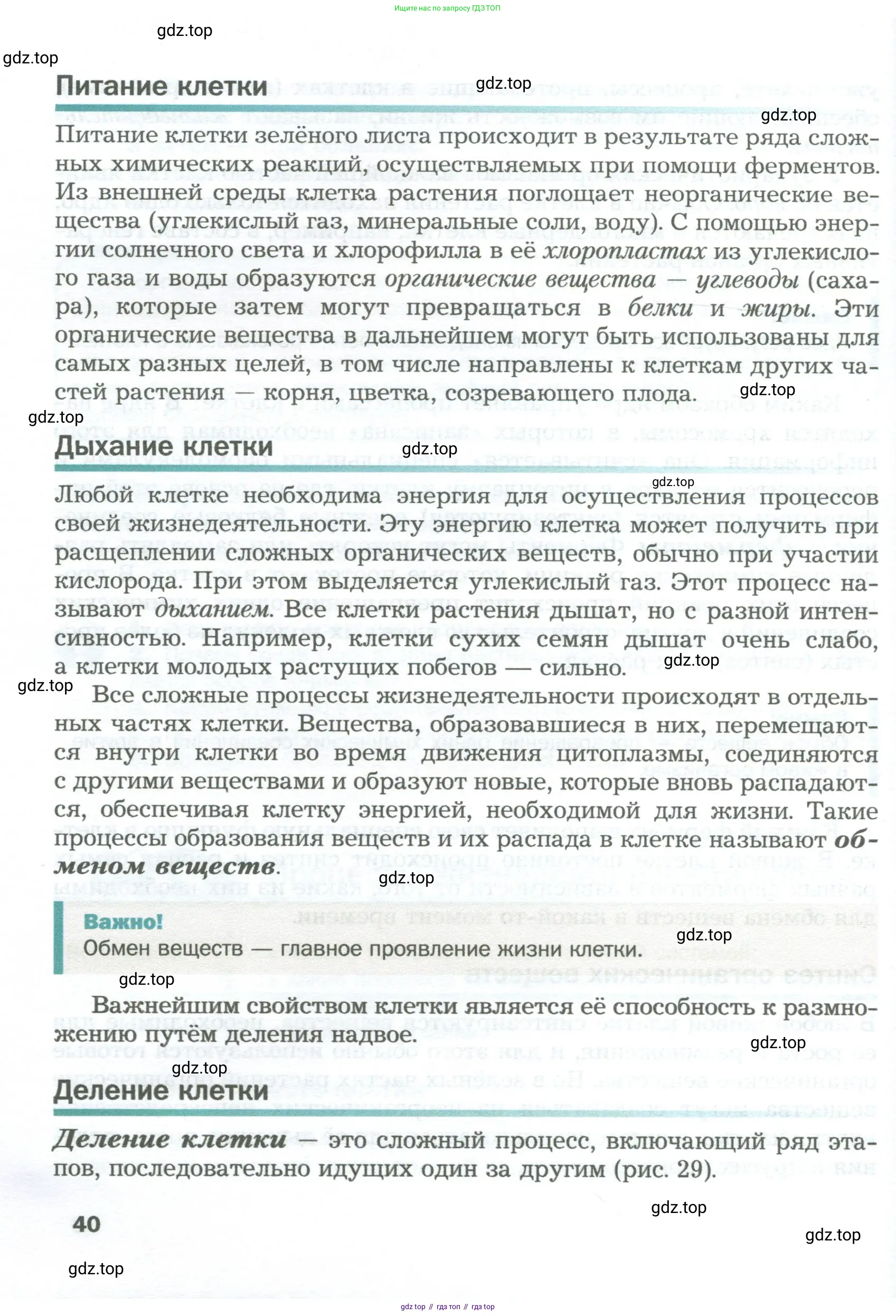 Биология, 6 класс Учебник, авторы: Пономарева Ирма Николаевна, Корнилова Ольга Анатольевна, издательство Просвещение, Москва, 2023, бирюзового цвета, страница 40