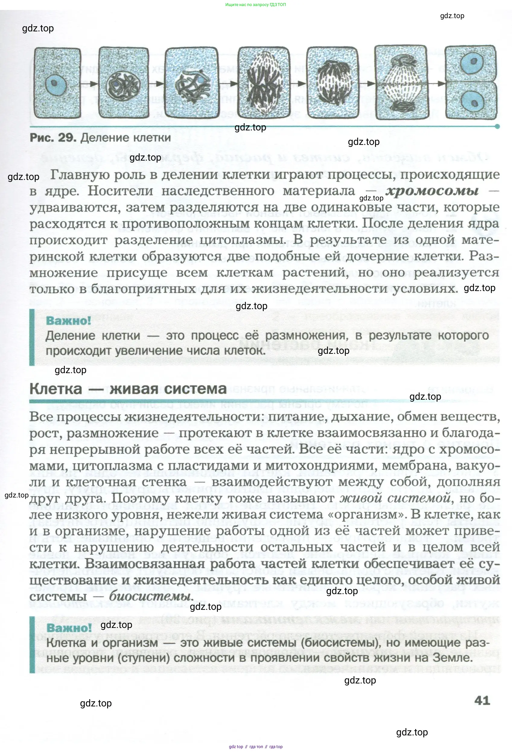 Биология, 6 класс Учебник, авторы: Пономарева Ирма Николаевна, Корнилова Ольга Анатольевна, издательство Просвещение, Москва, 2023, бирюзового цвета, страница 41