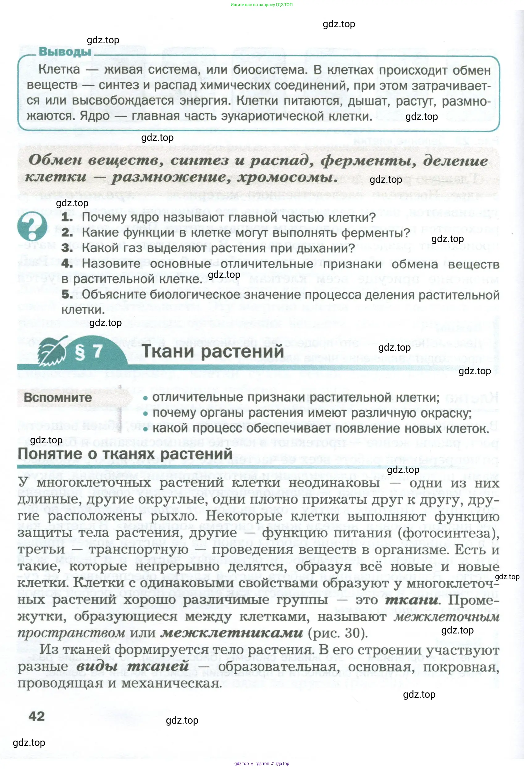 Биология, 6 класс Учебник, авторы: Пономарева Ирма Николаевна, Корнилова Ольга Анатольевна, издательство Просвещение, Москва, 2023, бирюзового цвета, страница 42